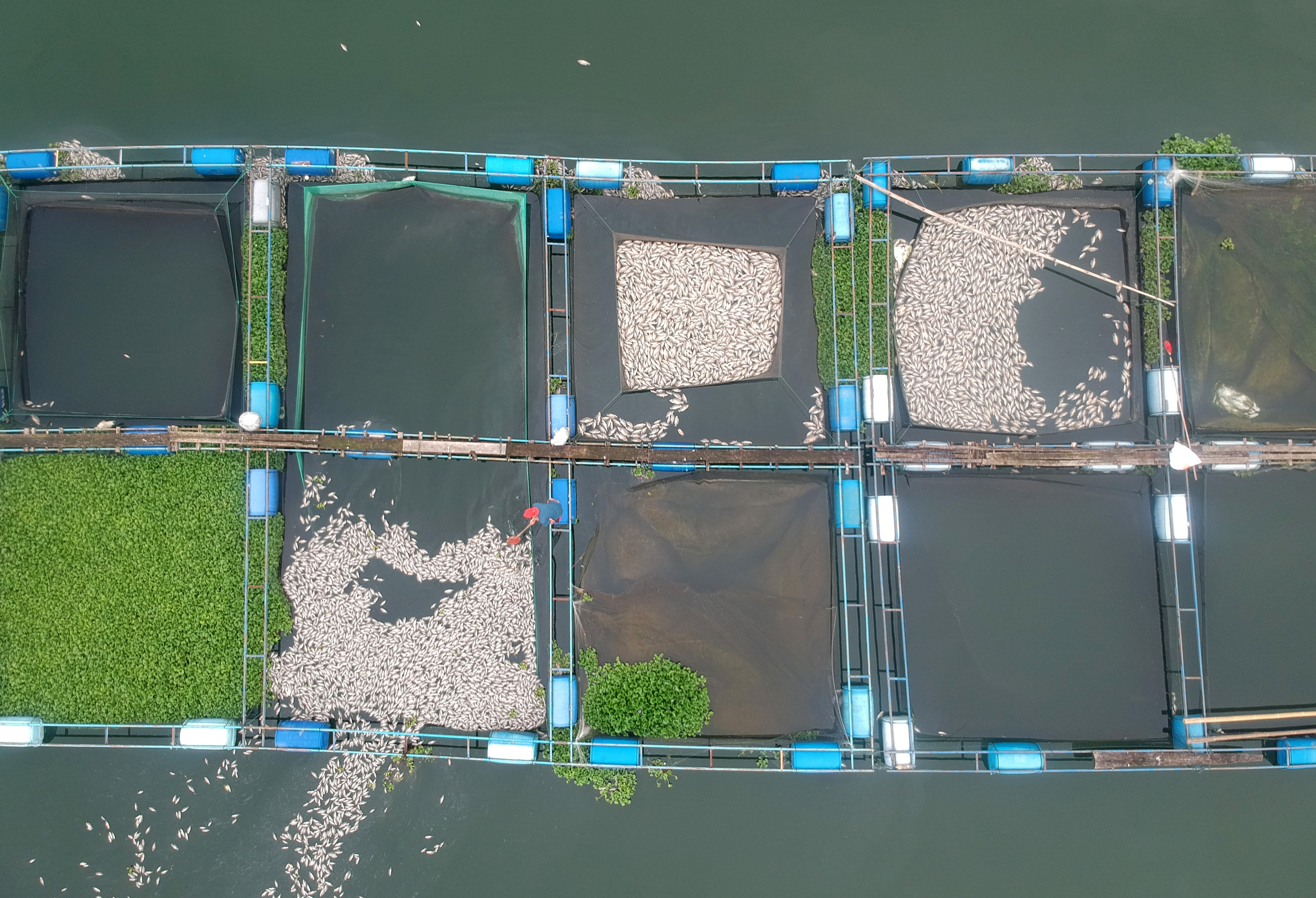 Keramba Jaring Apung