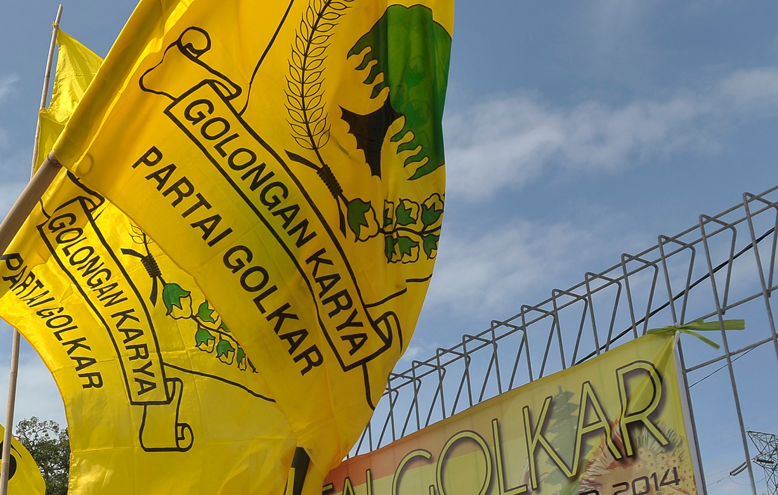 Bendera Partai Golkar 