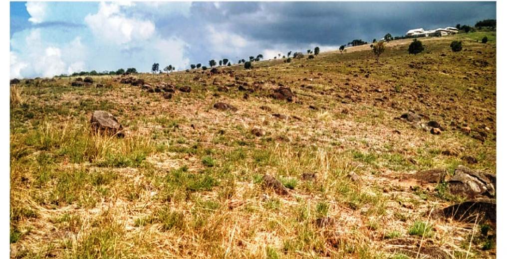 Demi memberantas mafia tanah, jaksa-jaksa yang tergabung dalam satgas sudah dikirimkan langsung ke daerah-daerah tempat mafia tanah beraksi.