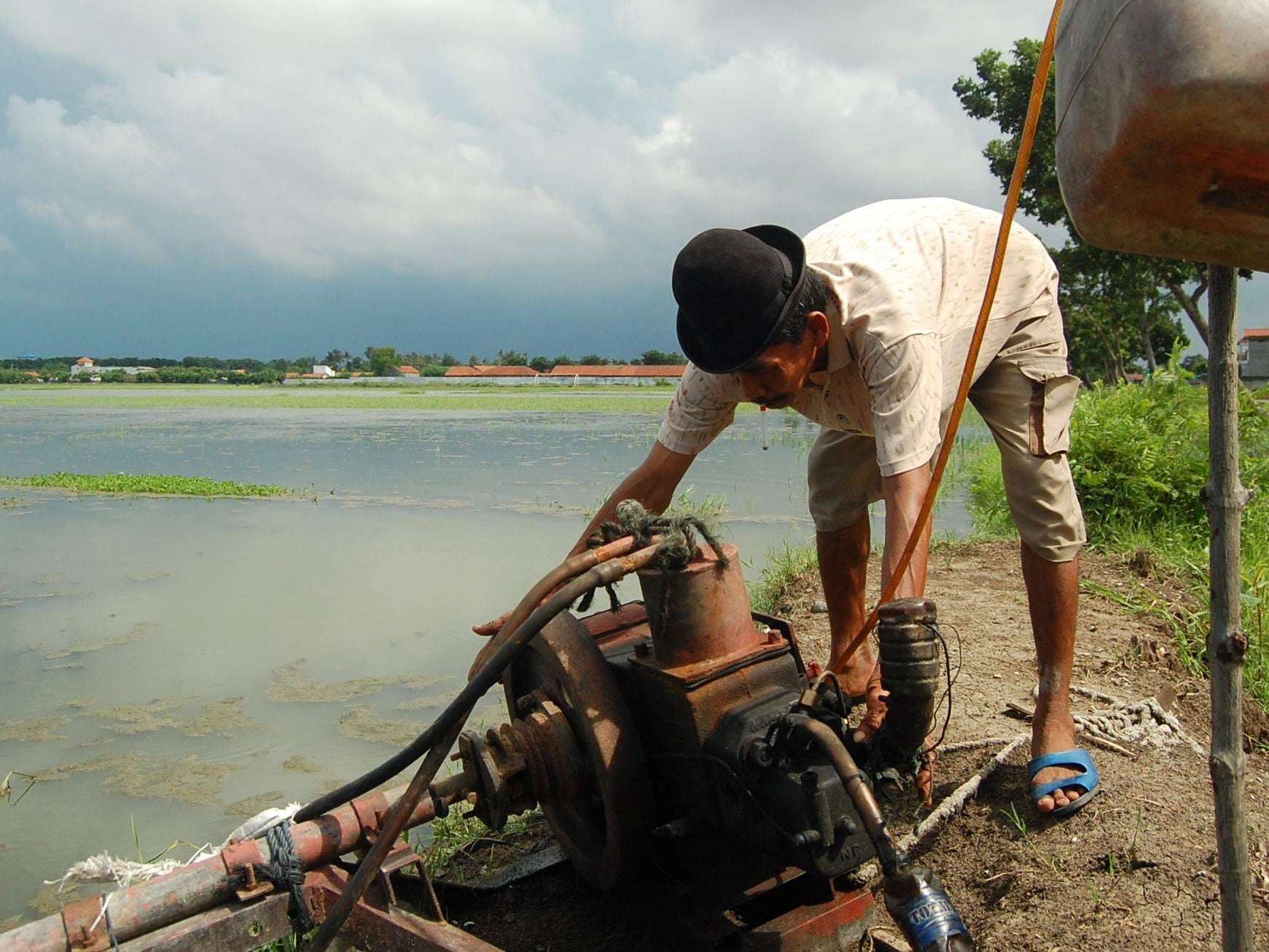 Ilustrasi sawah kebanjiran.