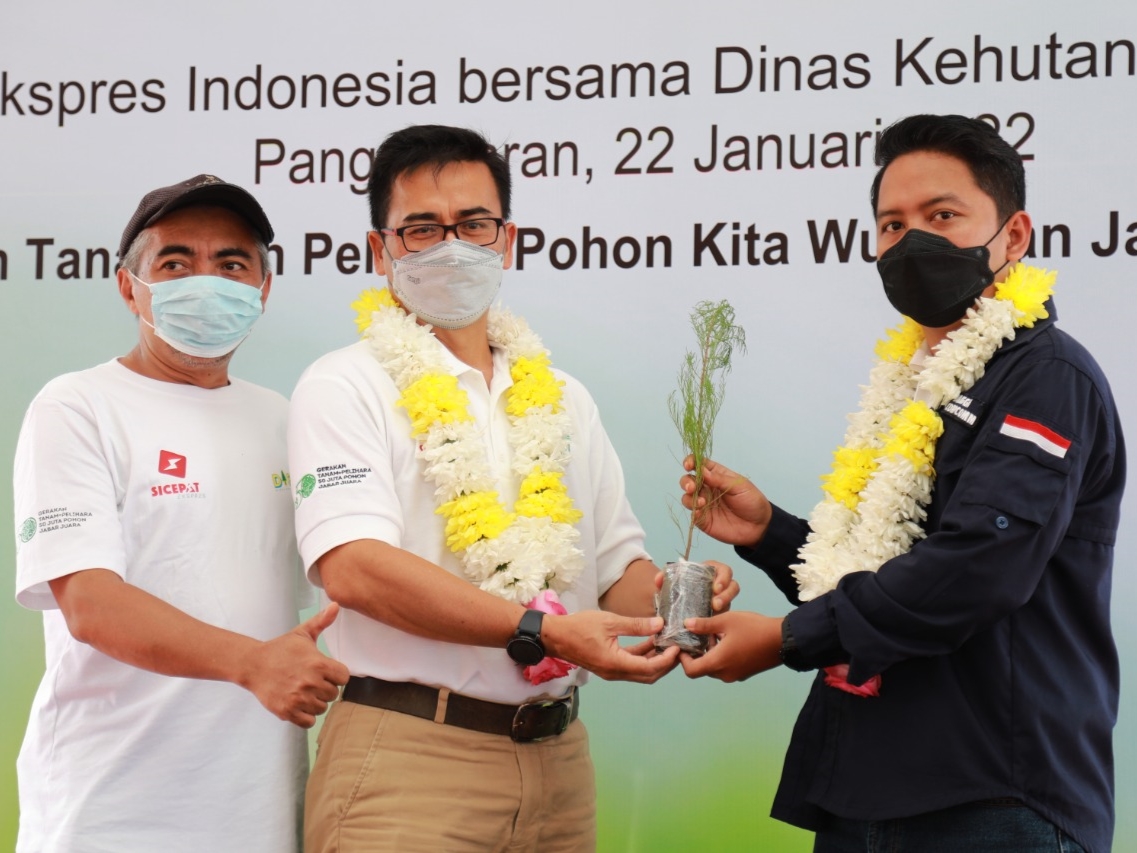 Cegah Tsunami, Puluhan Ribu Pohon Ditanam pada Pantai Pangandaran