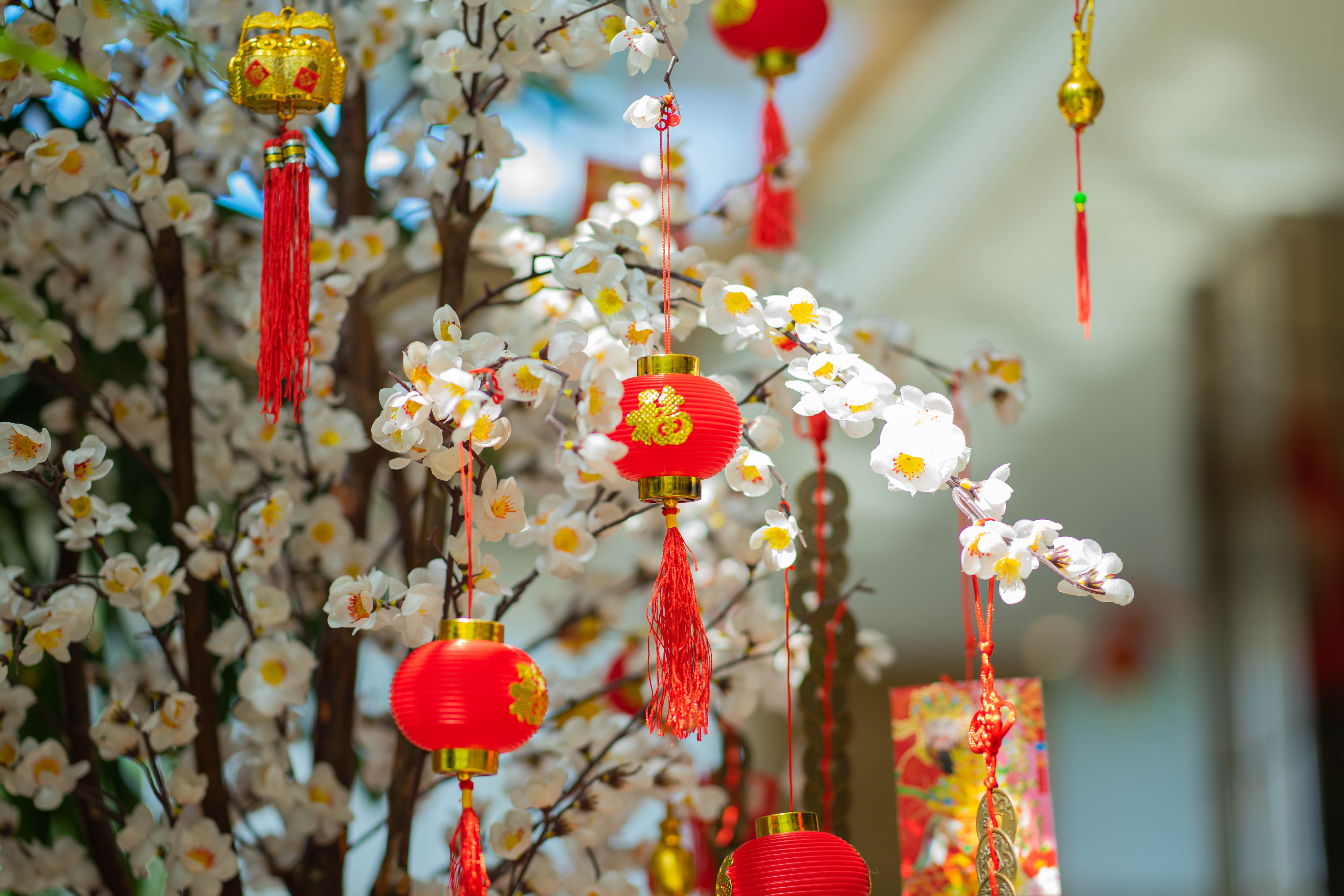 Swiss-Cafe menawarkan 'Chinese New Year’s Eve Buffet Dinner' bisa menjadi pilihan yang menarik.