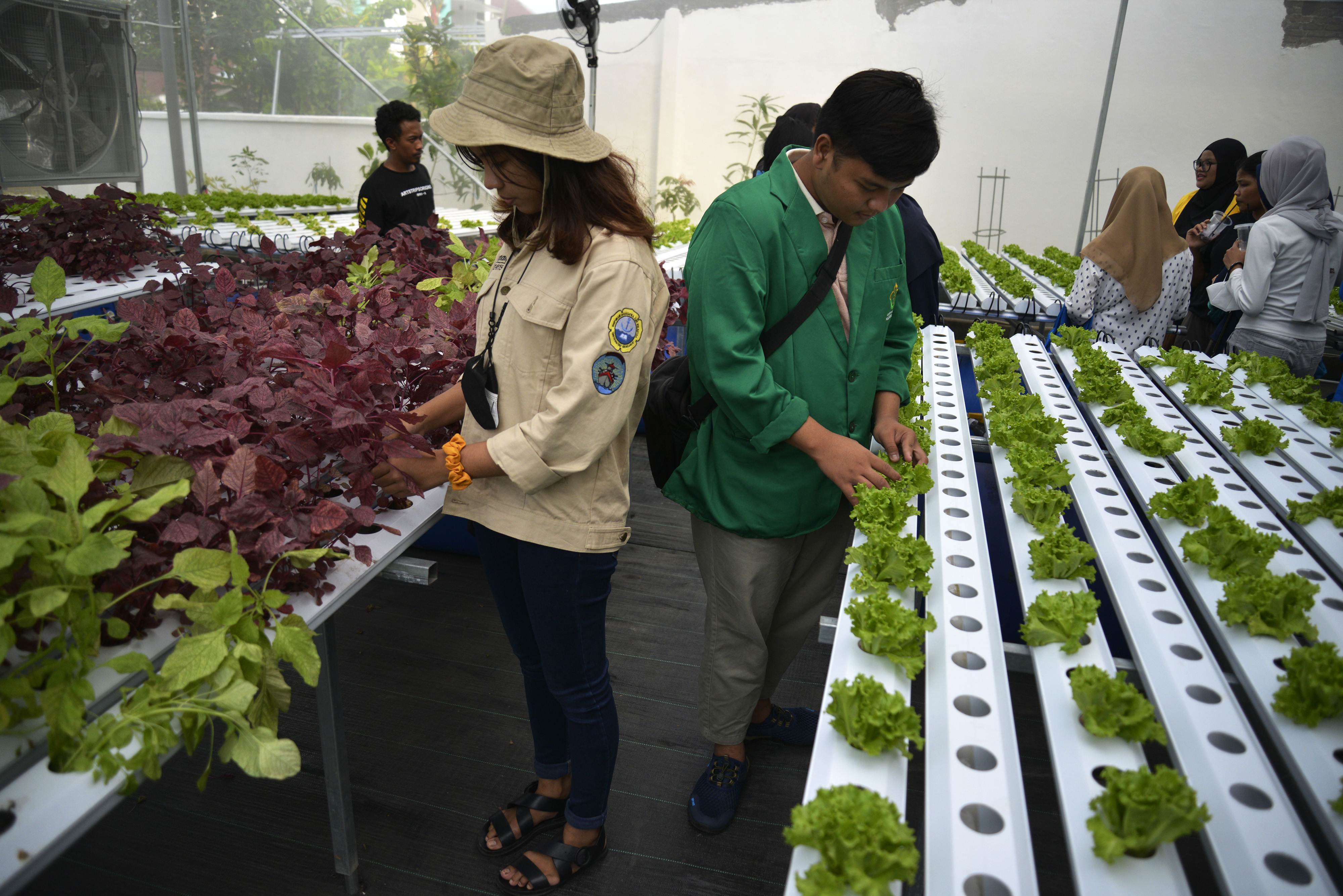  Sejumlah mahasiswa mendengarkan arahan pengelola saat berkunjung di Urban Farming Millenial, Makassar, Sulawesi Selatan, Rabu (15/12/2021).