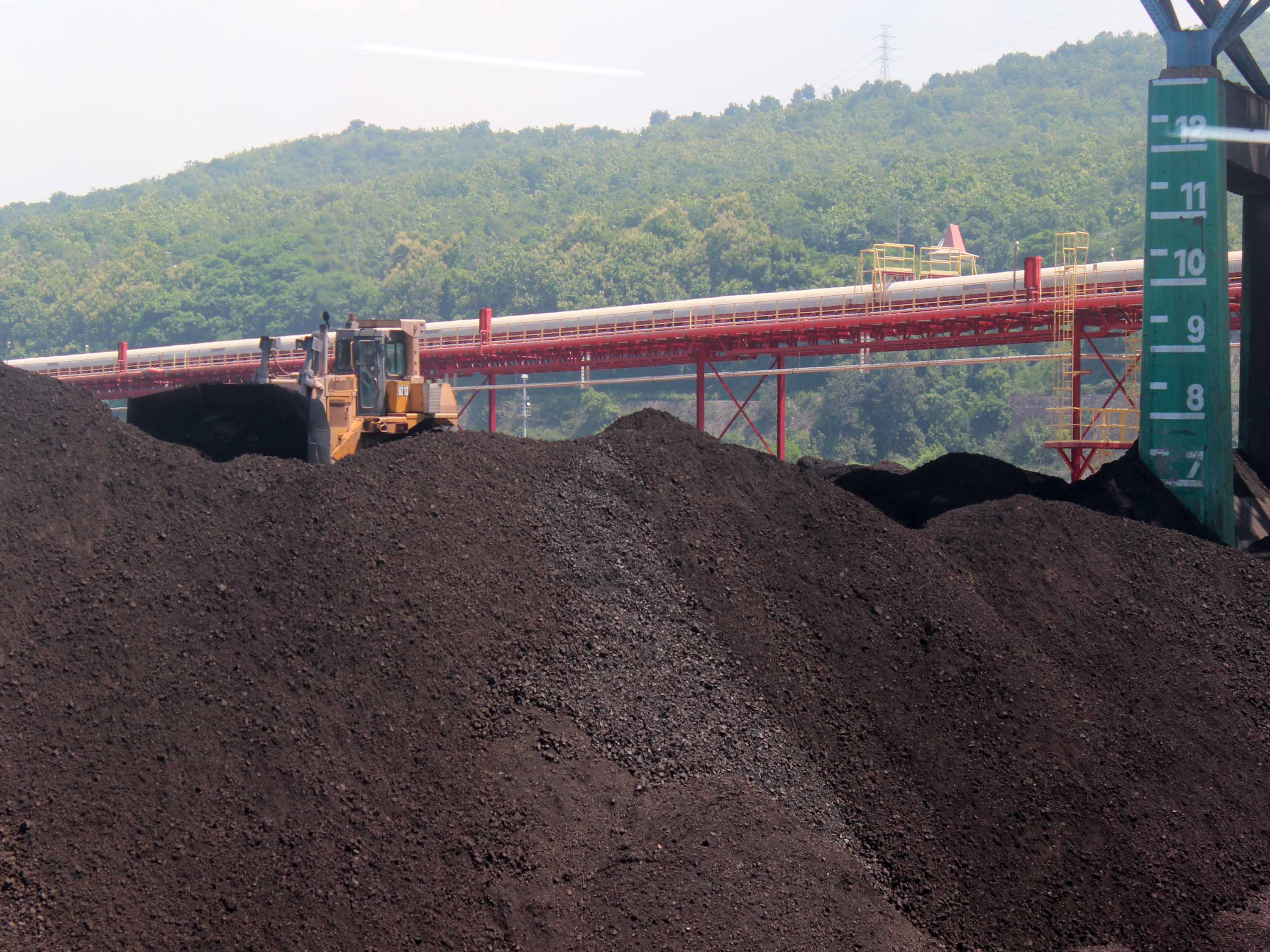 Batu bara untuk PLTU Paiton