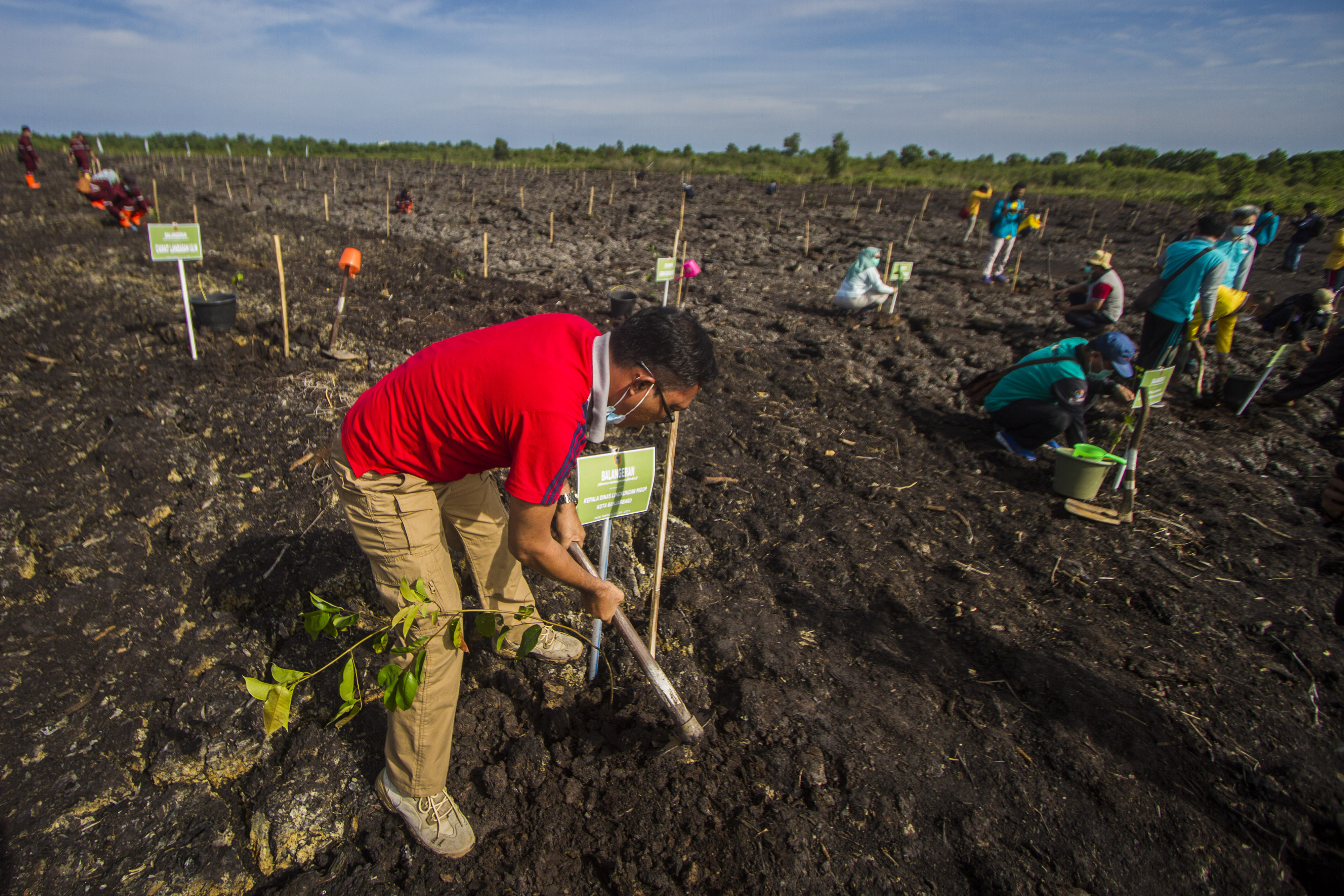 Pemerintah Provinsi Kalimantan Selatan kembali menggalakkan program menanam satu juta pohon di Kalimantan Selatan.