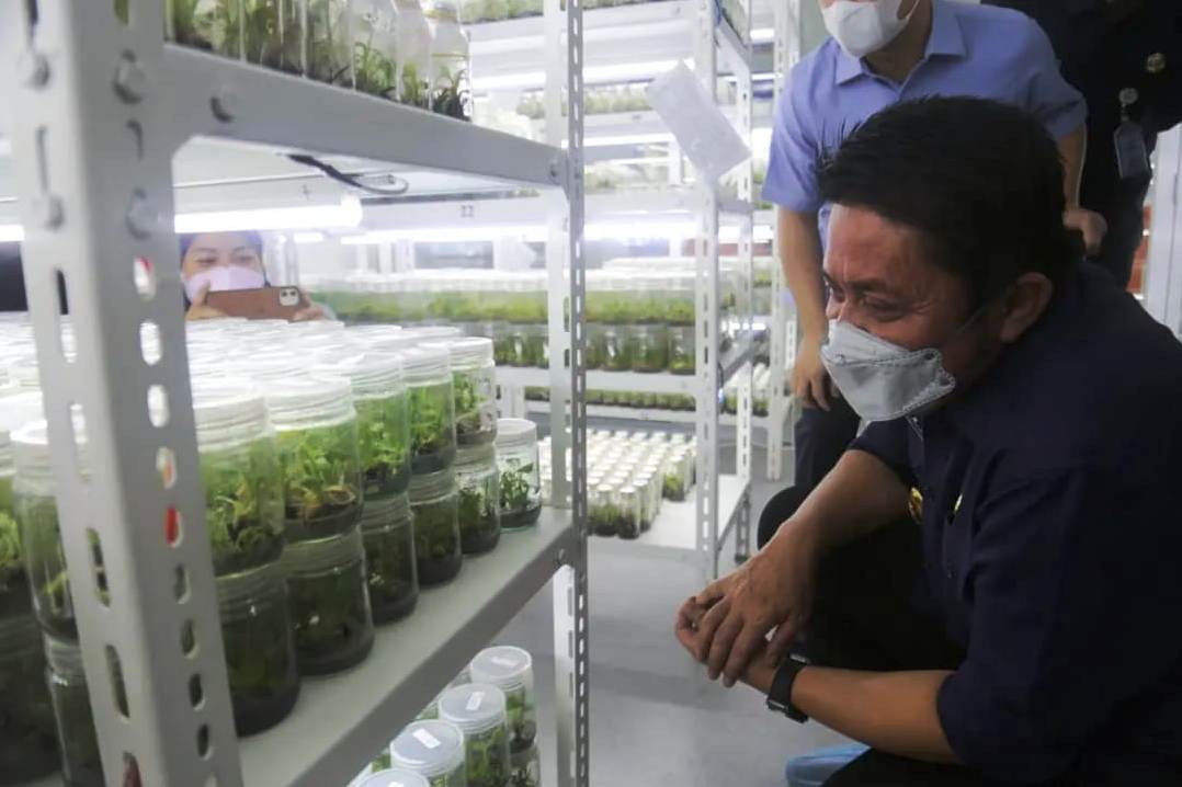 Gubernur Sumsel Herman Deru meninjau Laboratorium Kultur Jaringan PT GMZ Biomega Utama di Palembang, Minggu (23/1).