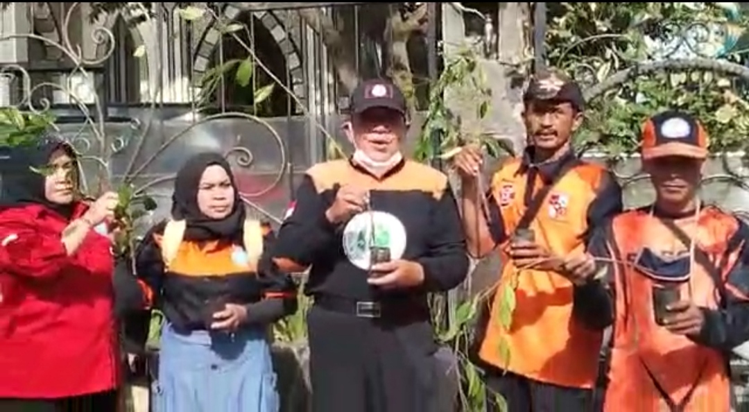 Relawan Temukan Bibit Pohon Program Konservasi Sabuk Gunung Tak Layak