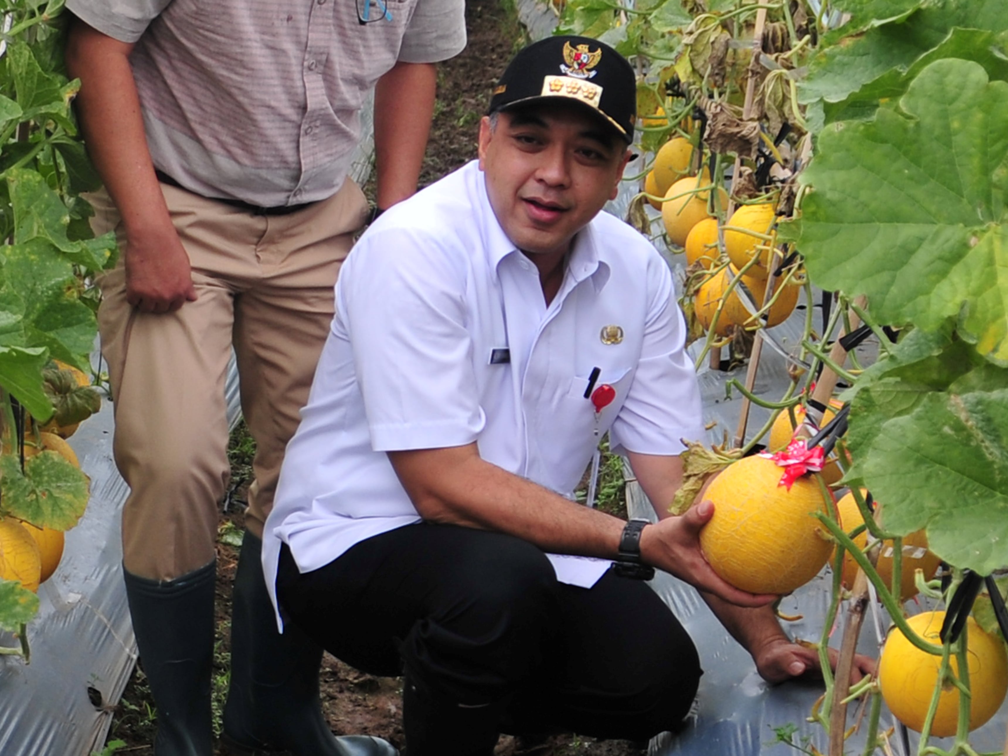 Bupati Tangerang Ahmed Zaki Iskandar.