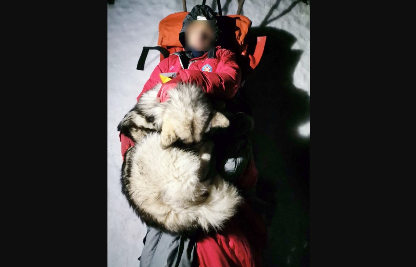 Anjing bernama North berbaring di atas pemiliknya saat mereka diselamatkan usai mengalami kecelakaan di Kroasia.