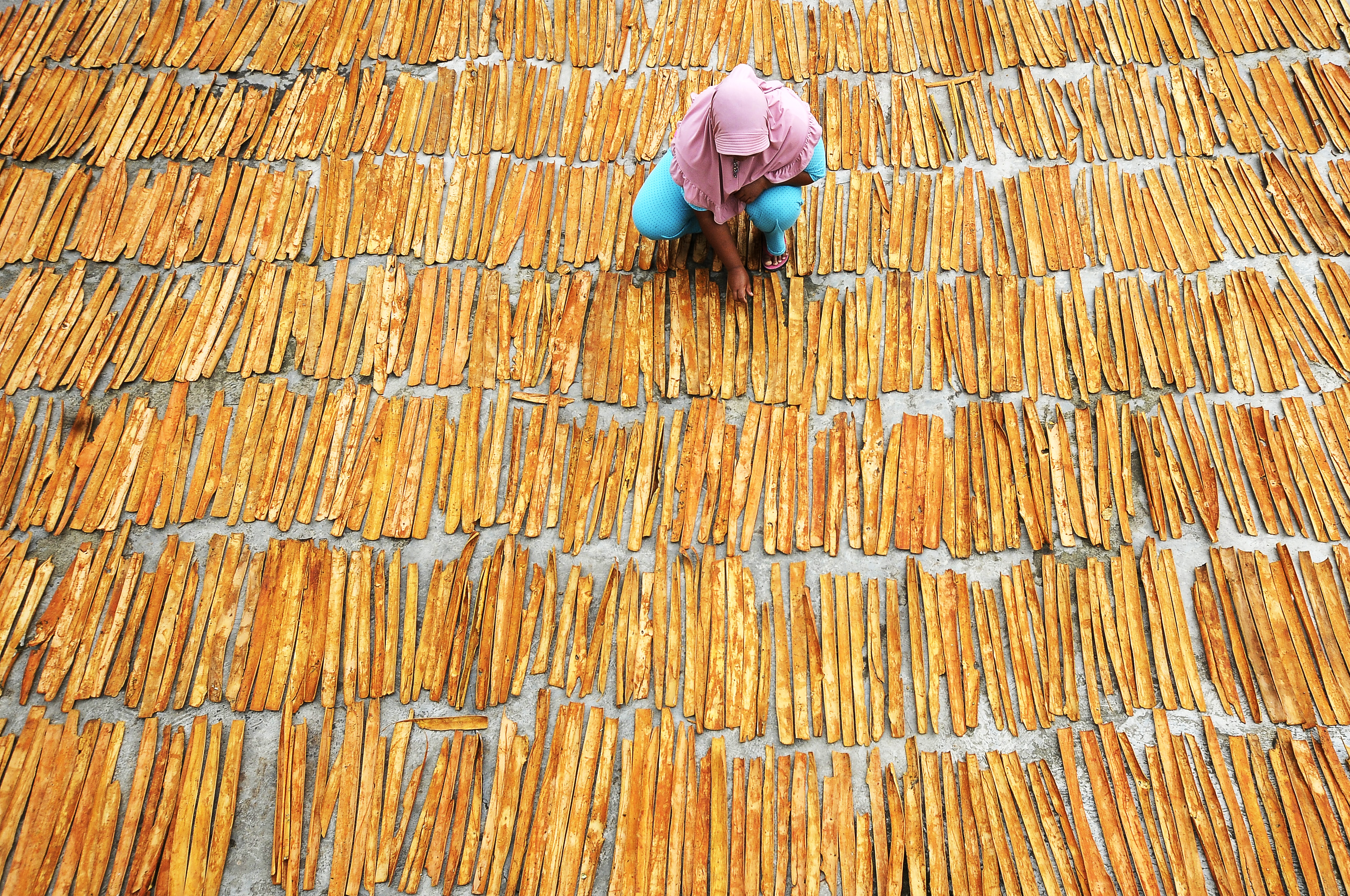 Warga menjemur kulit kayu manis di Siulak, Kerinci, Jambi.