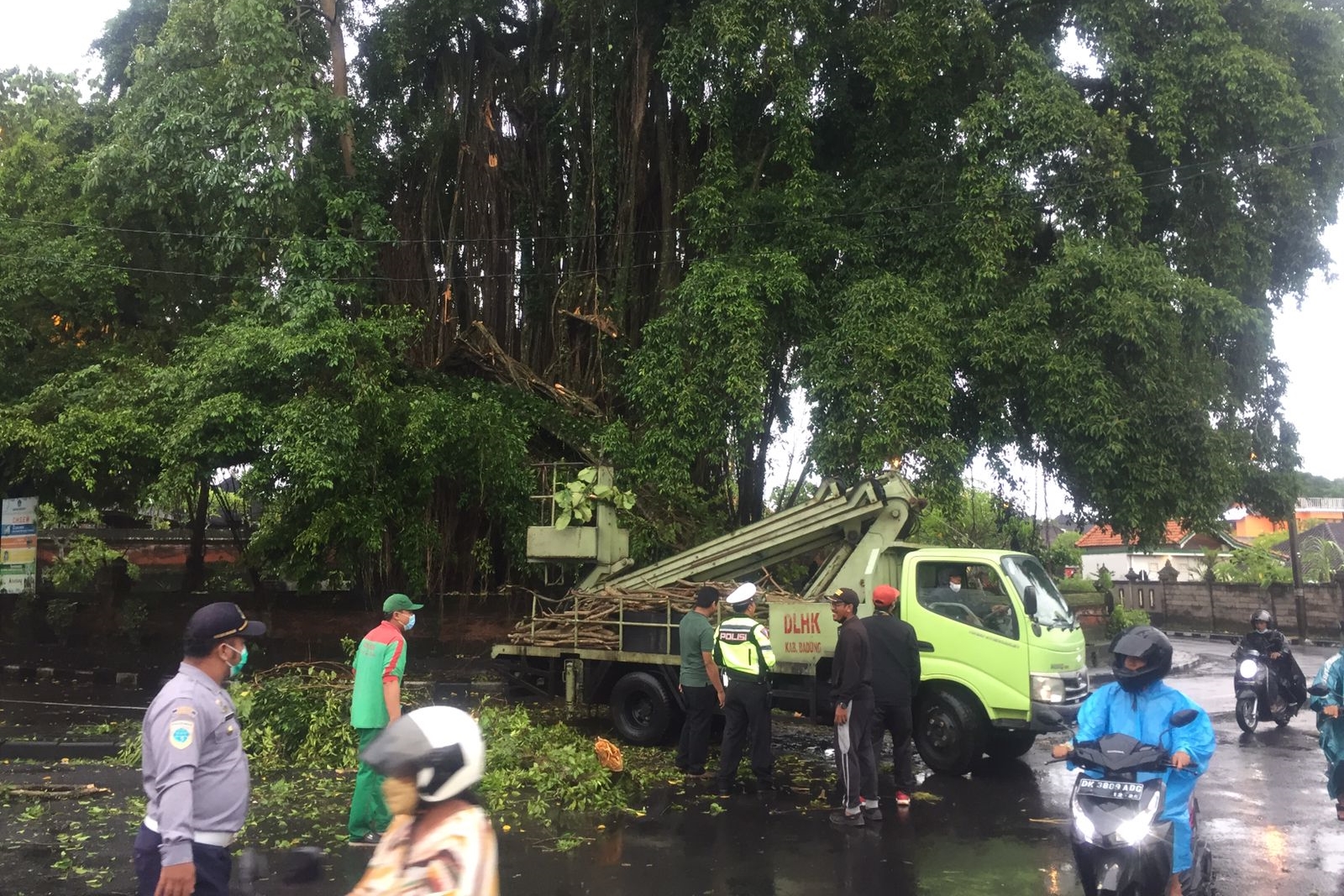 Petugas BPBD Kabupaten Badung, Bali, tengah menangani dahan pohon beringin sepanjang sekitar 10 meter yang patah.