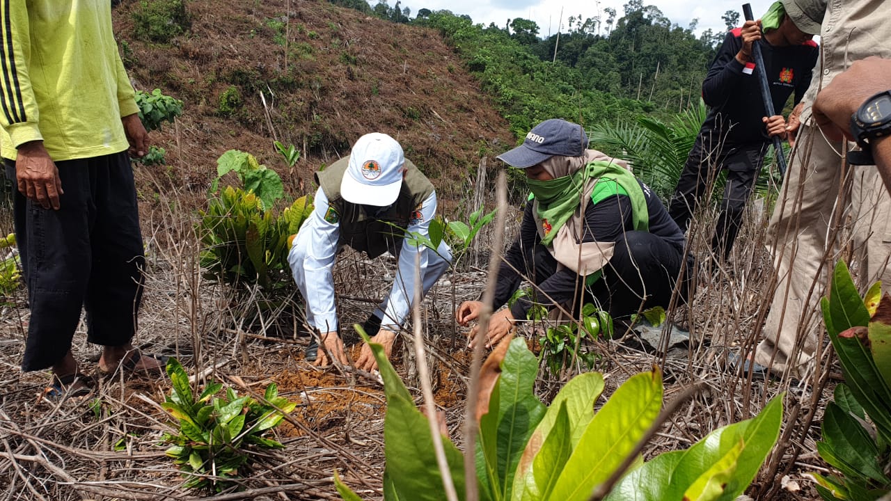 Gerakan Menanam Pohon di Kawasan Hutan lLndung Bukit Suligi, Riau, Senin (10/1/2022)