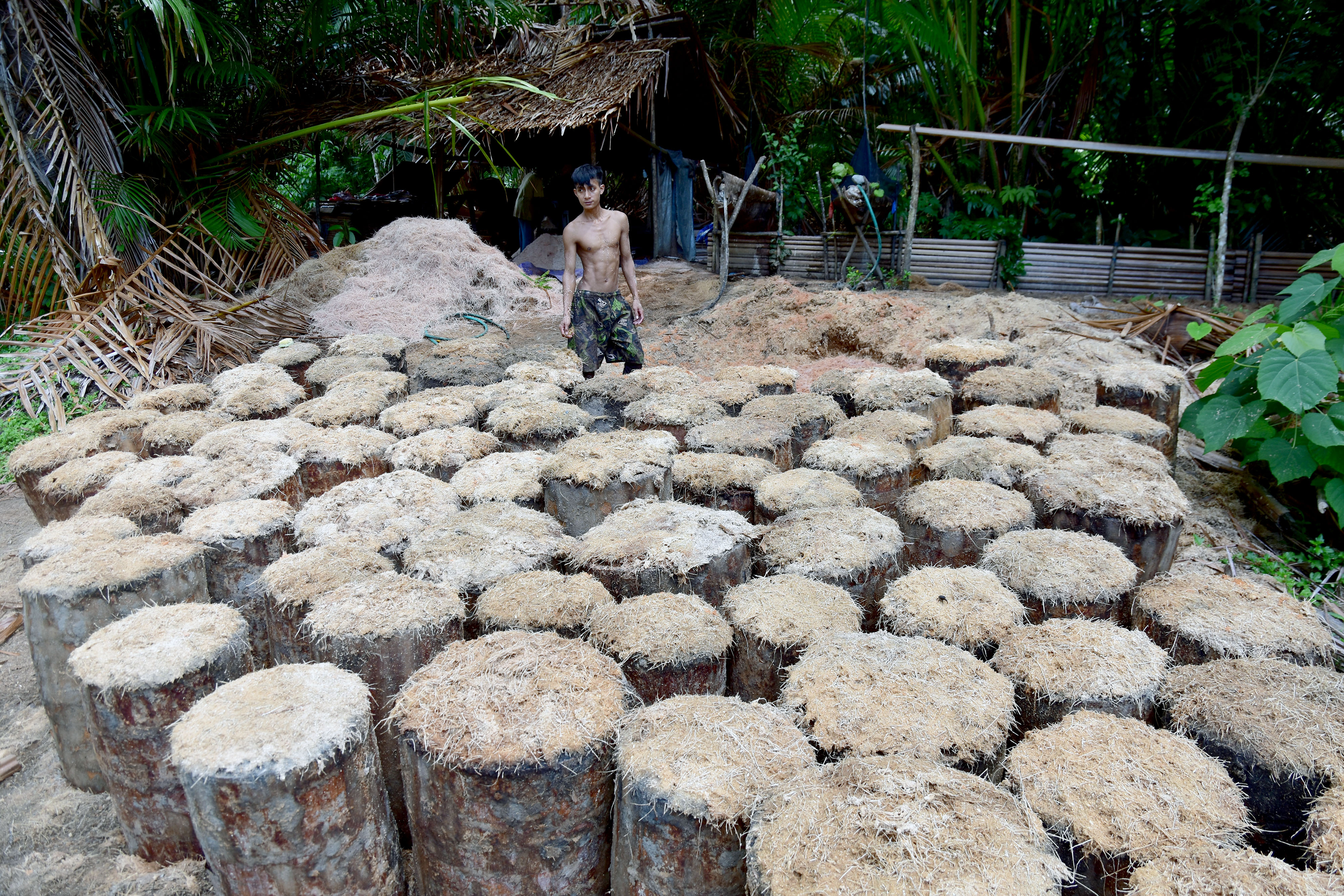 Warga mengolah sagu di tempat pengolahan tradisional yang disebut Walang Goti di Desa Hitu Messing, Kabupaten Maluku Tengah, Maluku.