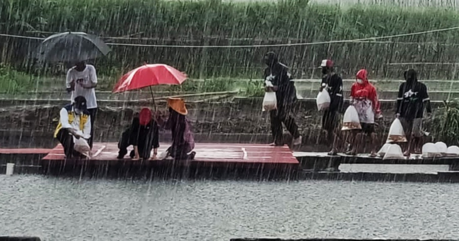 Puan Maharani menabar bibit ikan di Klaten