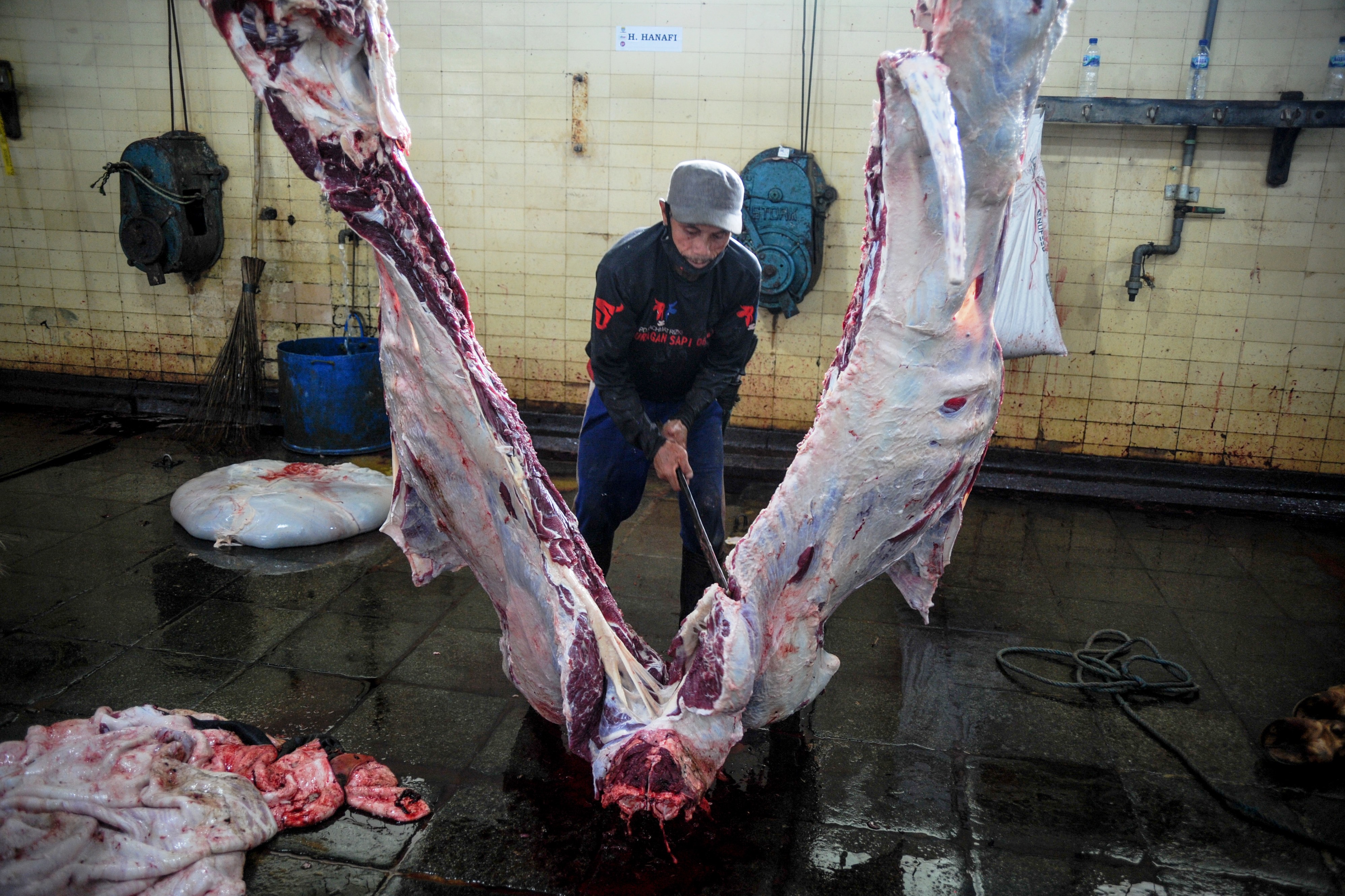 Rumah pemotongan hewan.
