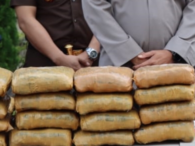 Polres Bekasi Sita 31 Kg Ganja dari Sumut