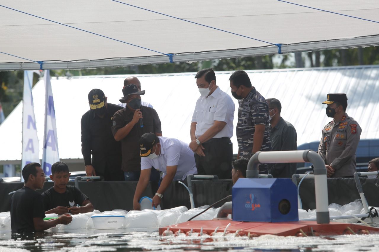 Menko marves Luhut Binsar Panjaitan mendapat penjelasan saat kunjungi INAP di Kampung Bahari Nusantara, Jembrana, Jumat (25/2)