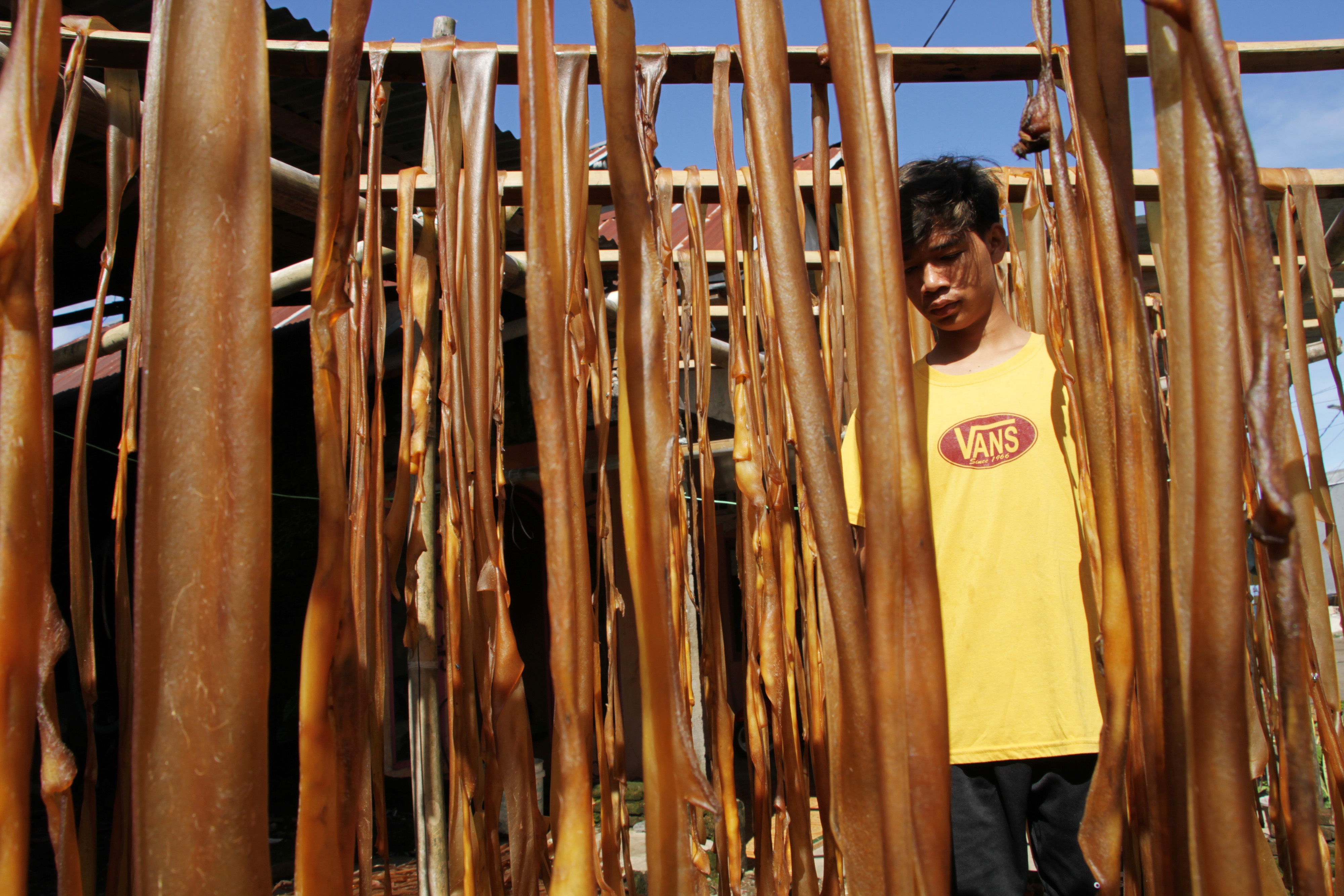  Pekerja menjemur kulit sapi untuk bahan baku kerupuk kulit di salah satu industri rumahan di Makassar, Sulawesi Selatan, Kamis (17/2/2022).