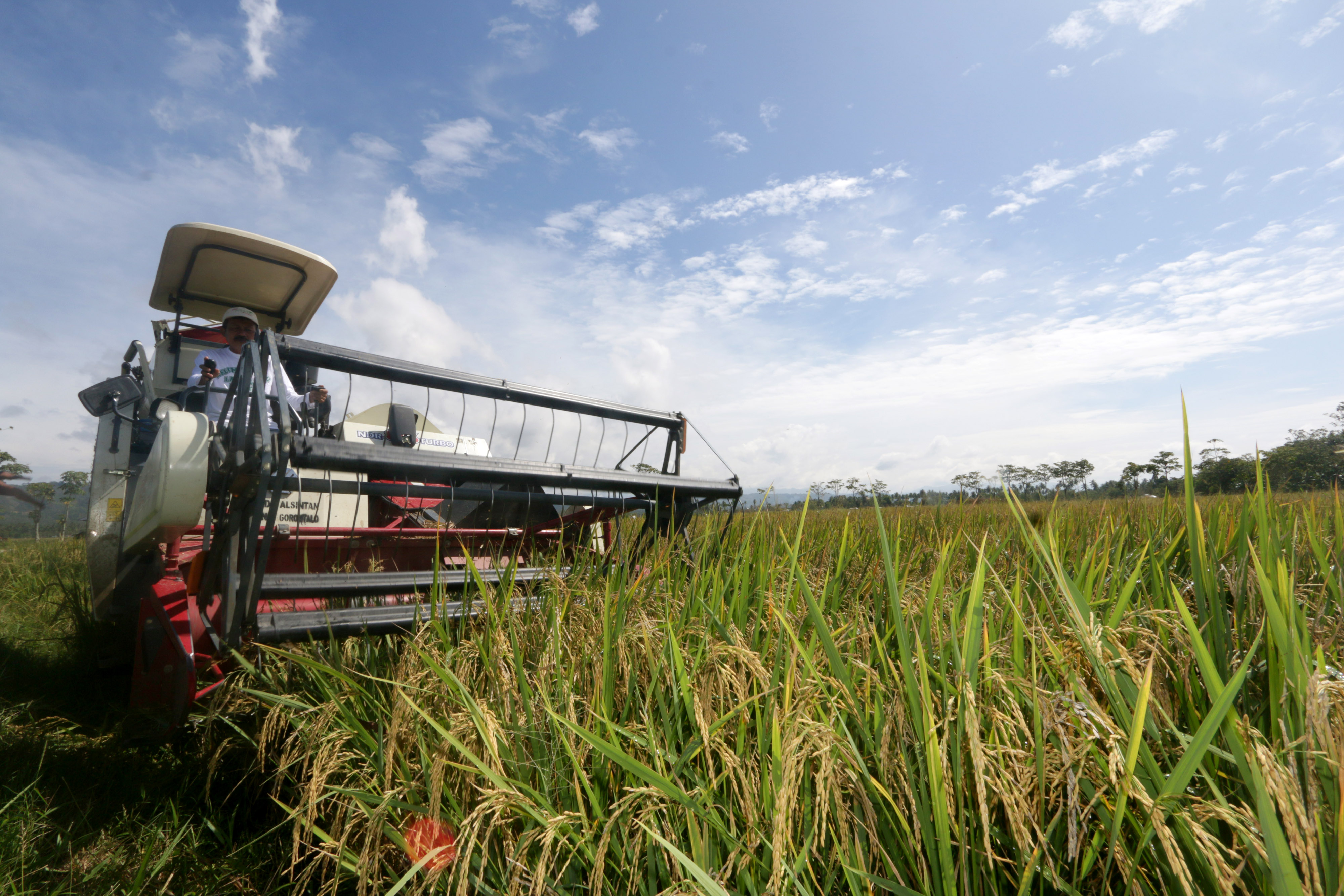 Presidensi G20 Buka Peluang Perluasan Akses Petani Indonesia ke Pasar Global 