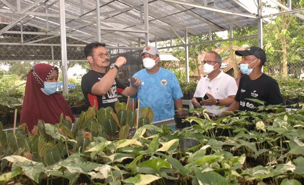 Mentan Syahrul Yasin Limpo (kedua dari kiri) saat bertandang ke green house tanaman hias.