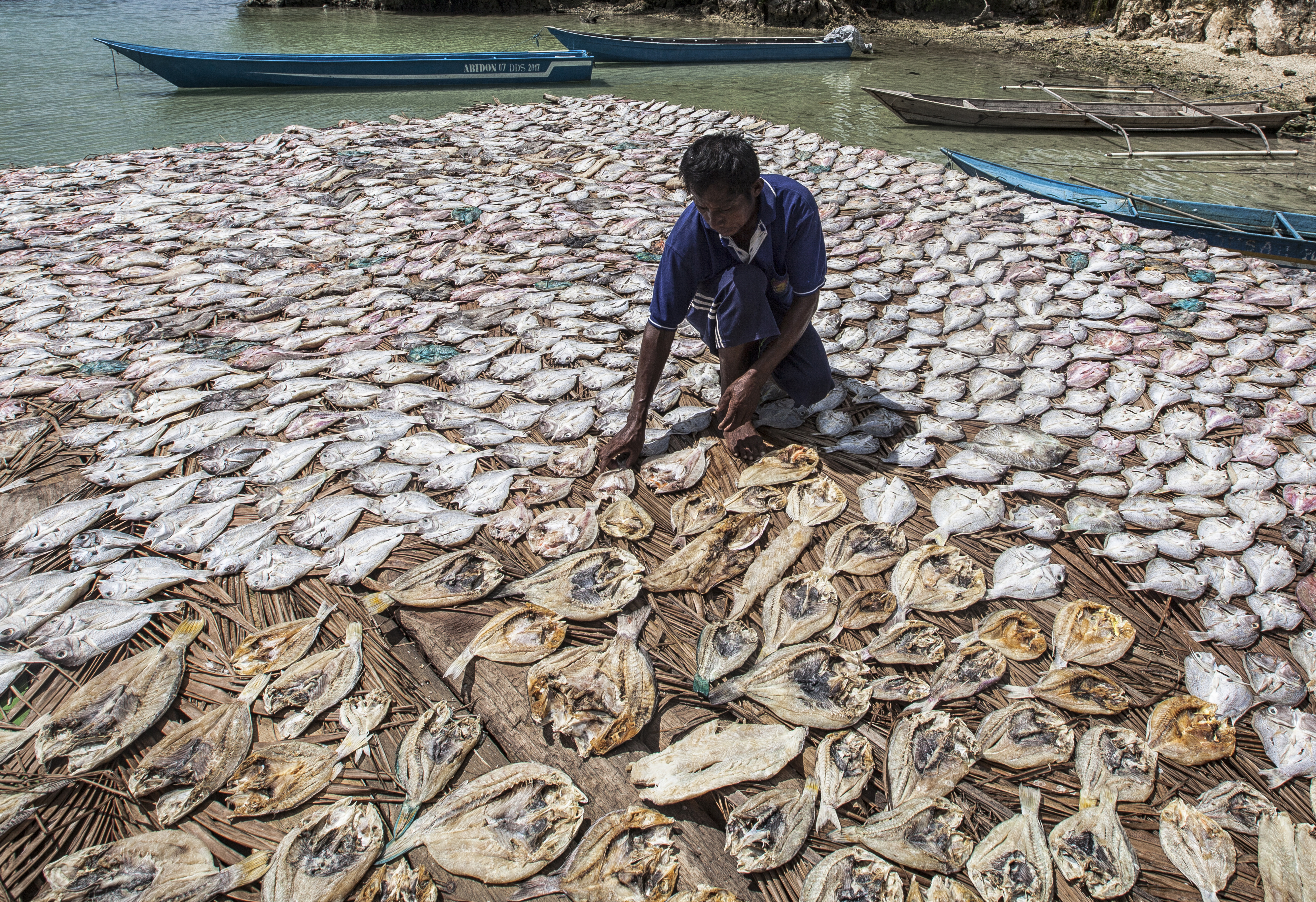 Seorang nelayan di Raja Ampat, Papua Barat, menjemur ikan hasil tangkapan
