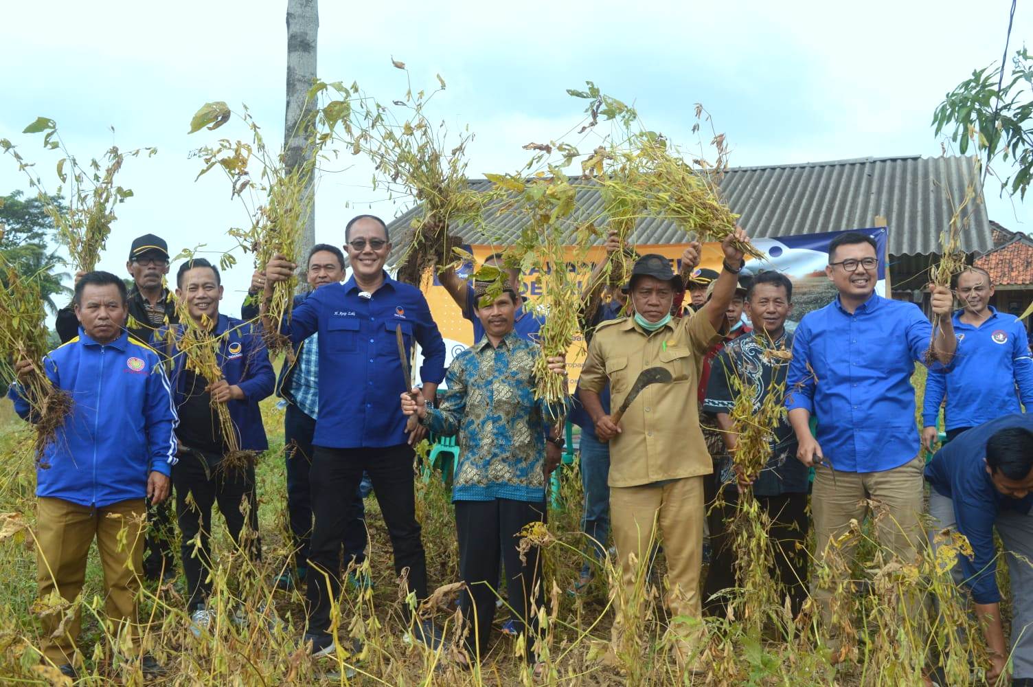 Panen kedelai di Kabupaten Sukabumi