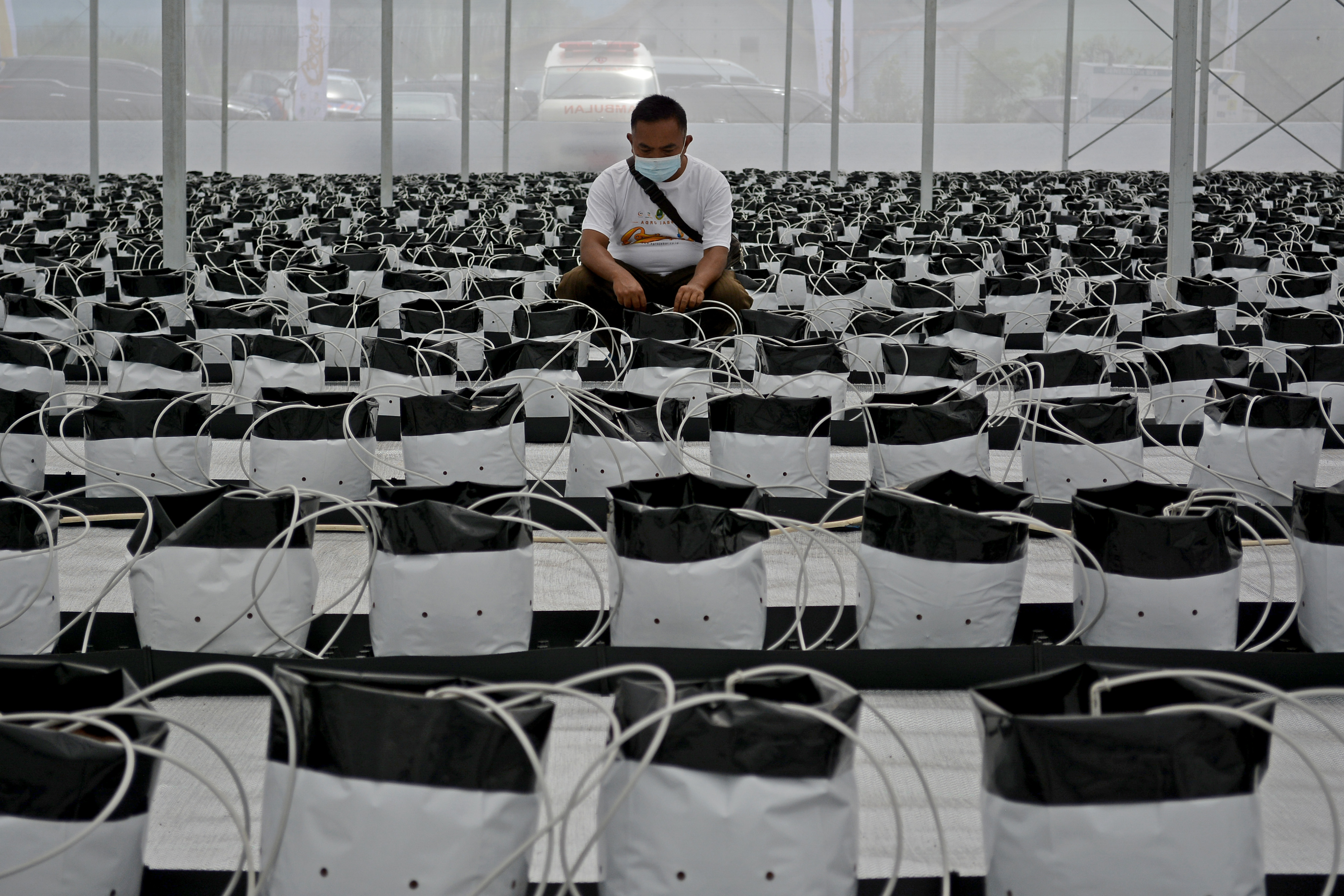 Implementasi Smart Farming melalui smart greenhouse di Garut, Jawa Barat