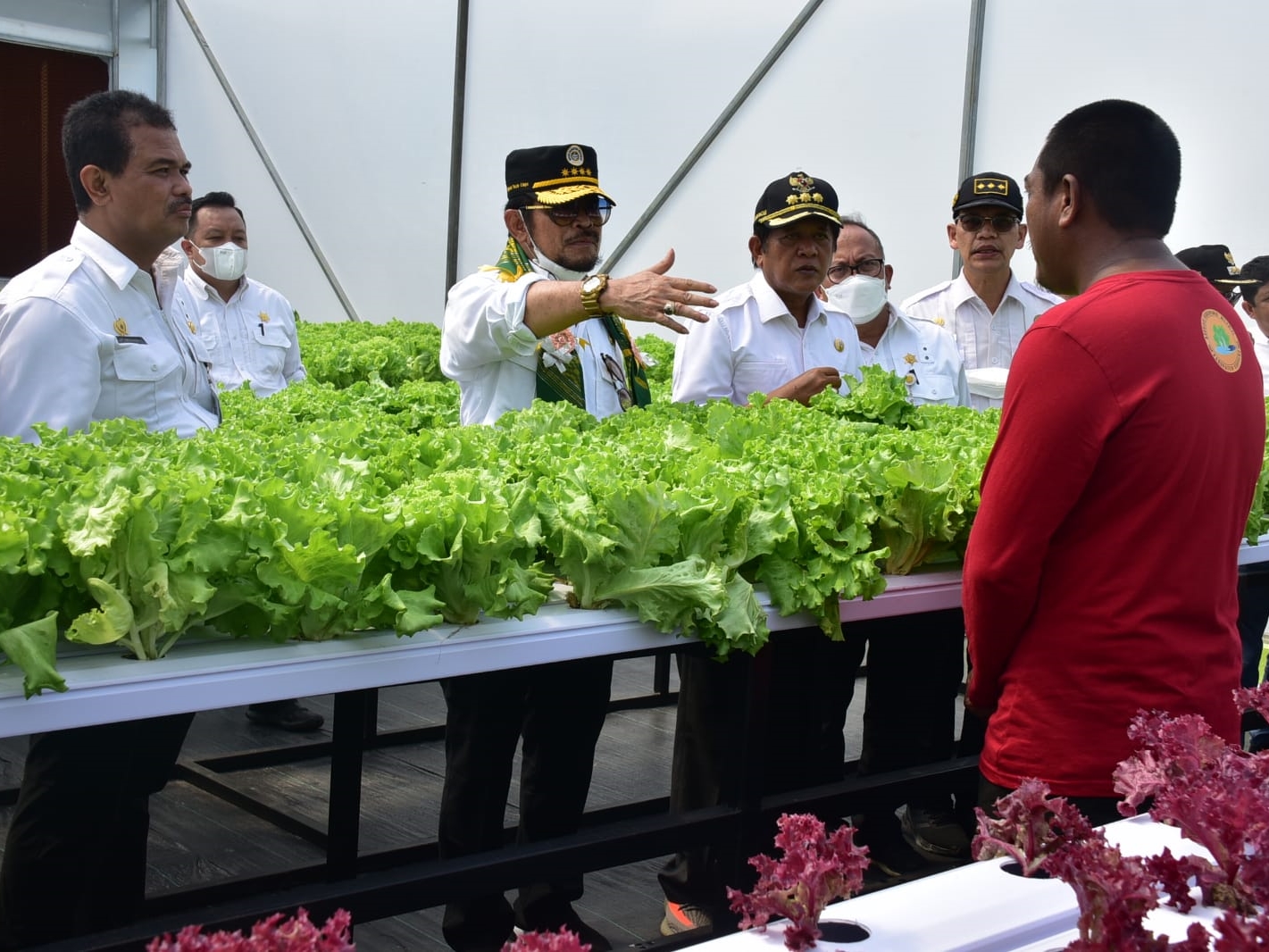 Kementerian Pertanian punya program meningkatkan minat kaum milenial di sektor pertanian.