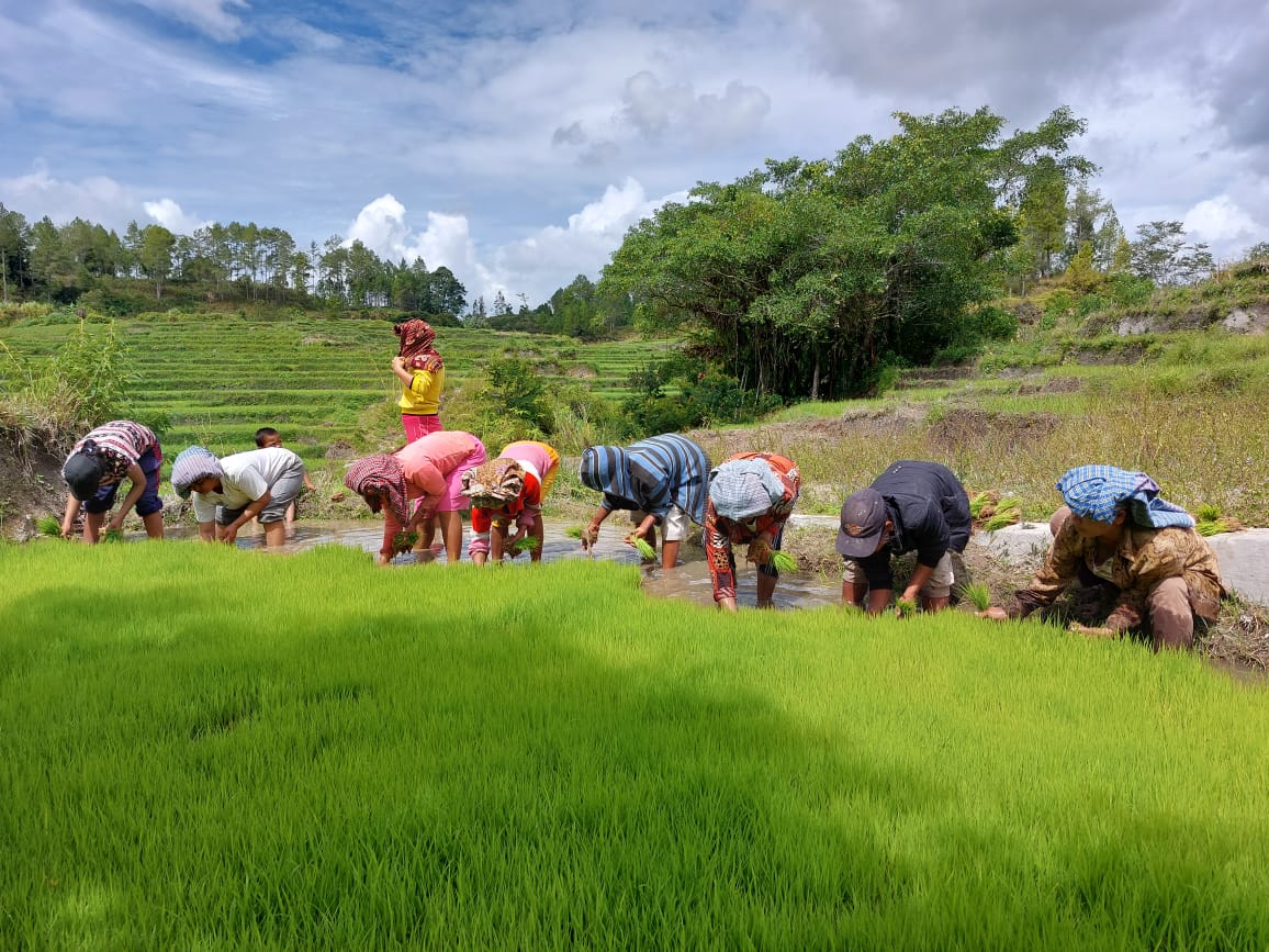 Kementan Dorong Petani Akselerasi Pembangunan Pertanian