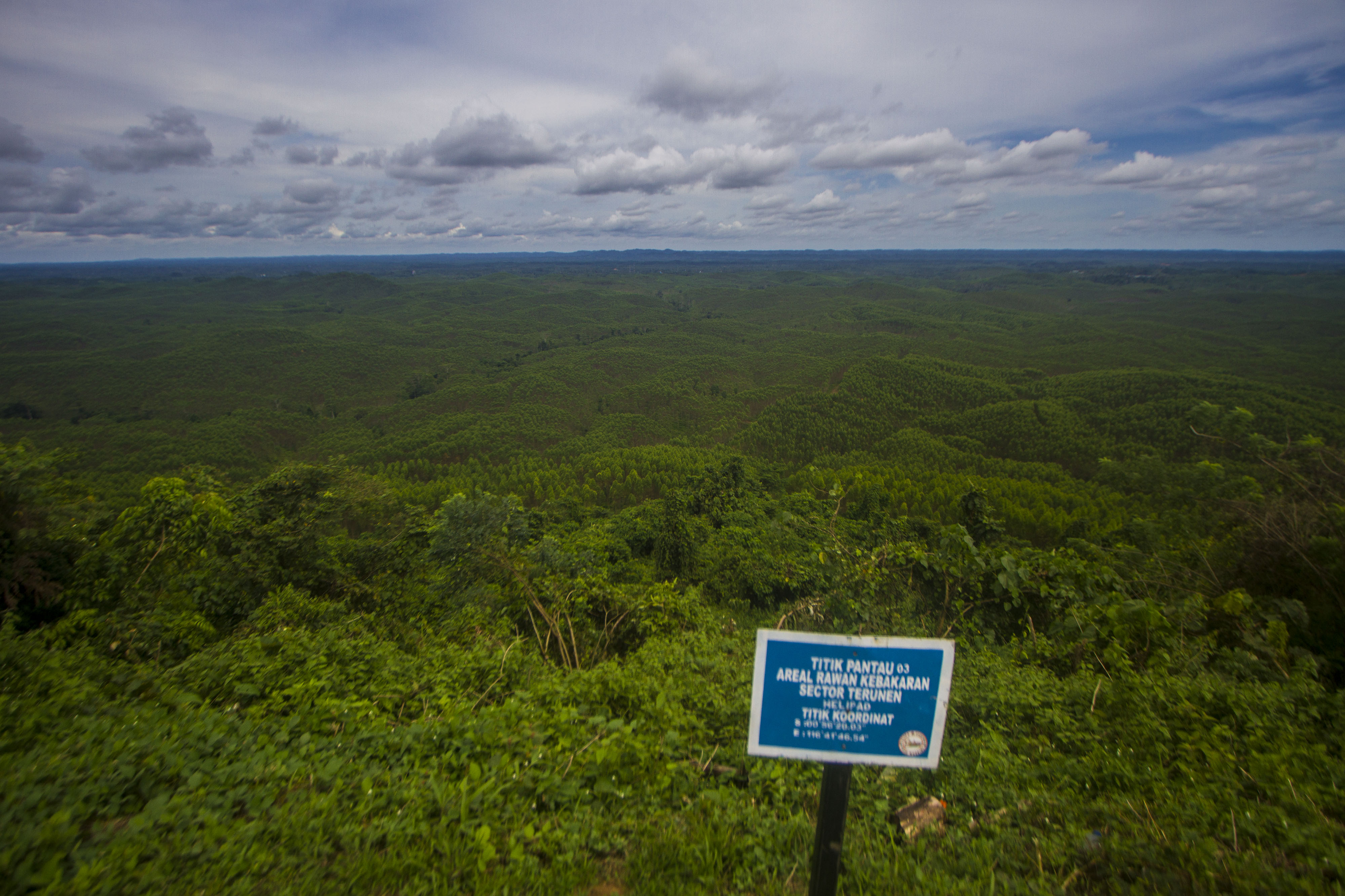  KAWASAN IKN NUSANTARA: Suasana kawasan yang akan menjadi Ibu Kota Negara (IKN) Nusantara di Sepaku, Kabupaten Penajam Paser Utara, Kaltim