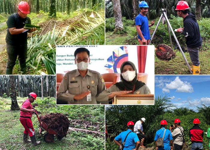 Kementan Dorong Mahasiwa Polbangtan Magang di Perusahaan Sawit