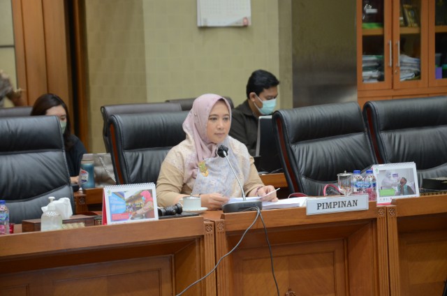 Wakil Ketua Komisi IX DPR RI Nihayatul Wafiroh.