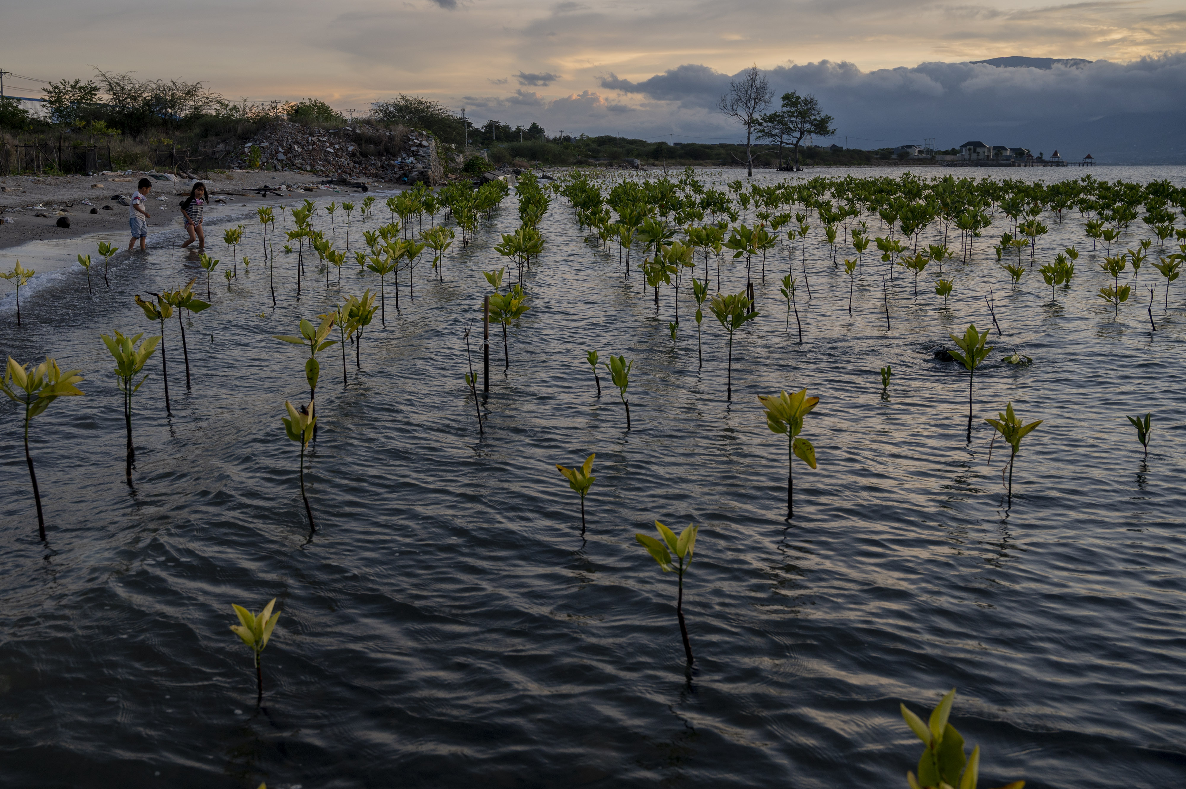 Buka Kantor di Indonesia, EIB Dukung Pembiayaan Tangani Perubahan Iklim