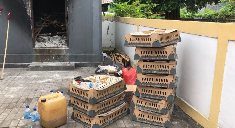 Ribuan Ekor Ayam Dimusnahkan Karantina Pertanian Ende