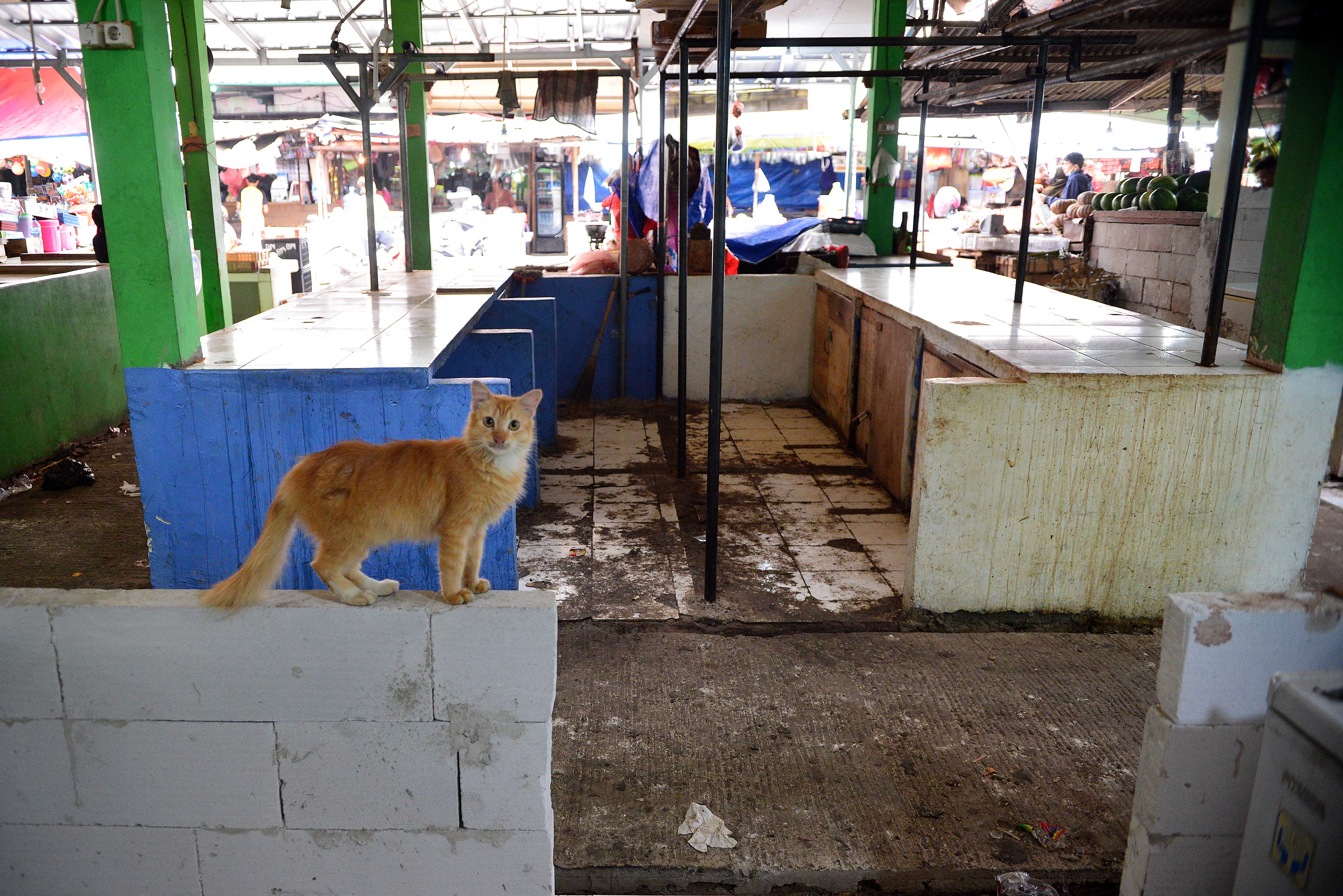 Ilustrasi: lapak pedagang daging yang kosong di Pasar Ciputat, Tangerang Selatan, Banten.