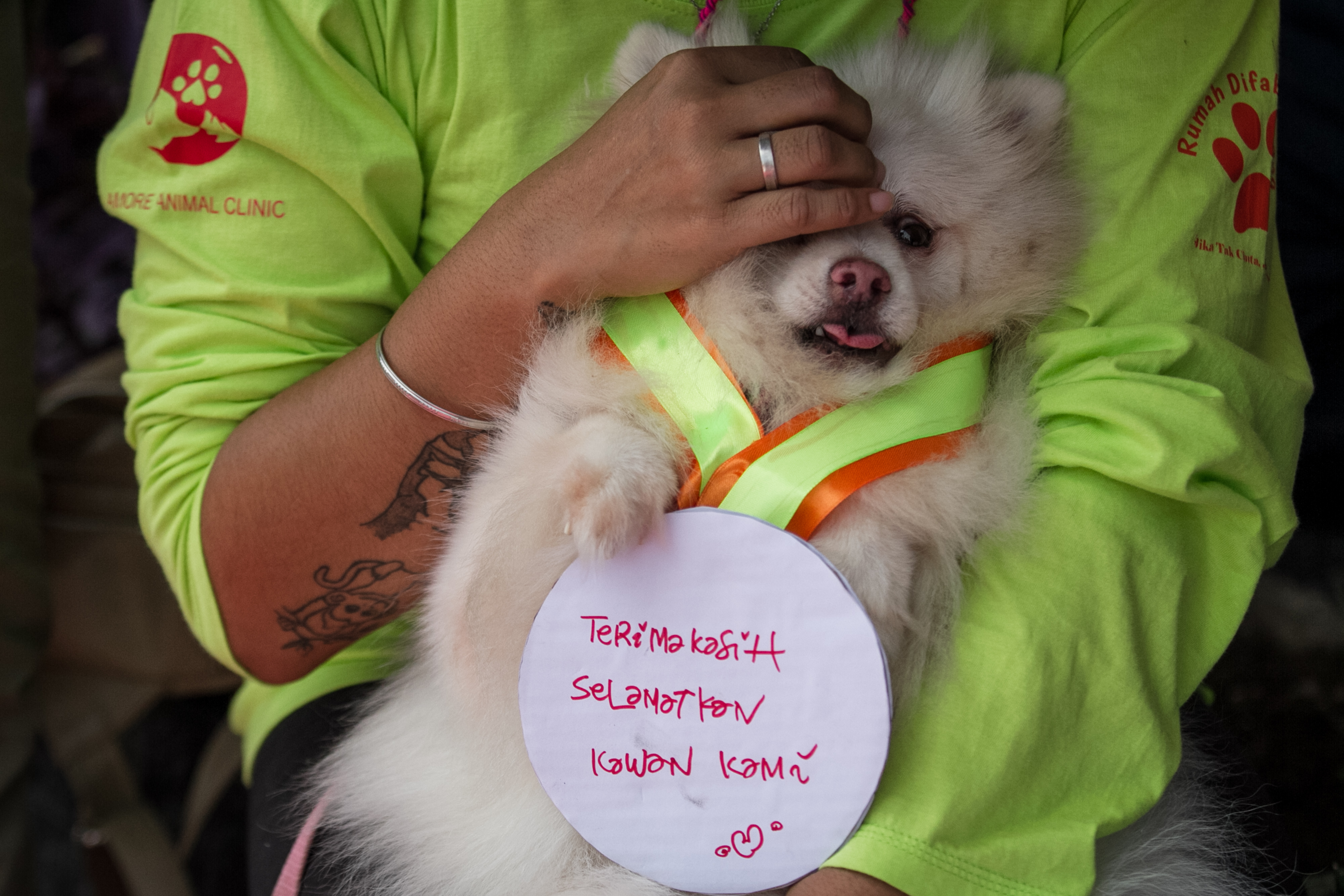 Ilustrasi penyelamatan anjing dari perdagangan