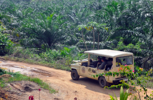 Ekowisata Barumun Sanctuary
