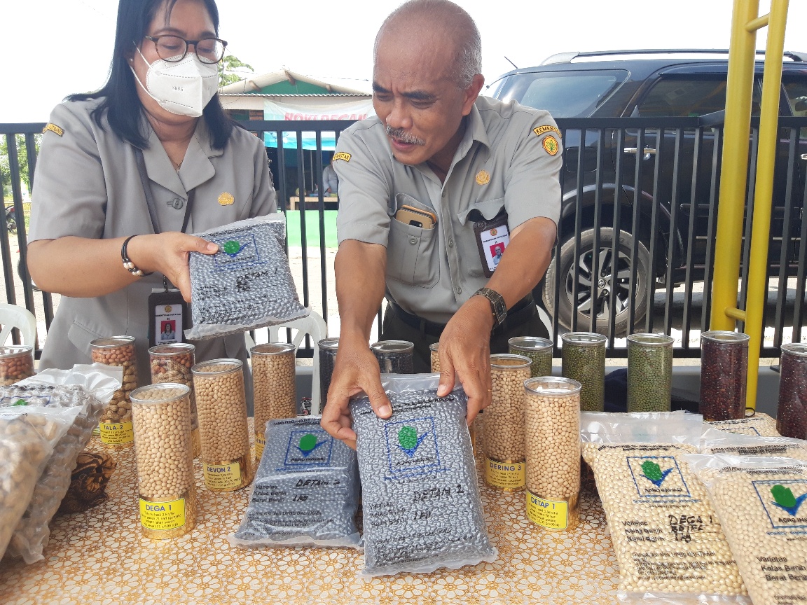 Pemerintah Perlu Fokus Pada Peningkatan Produktivitas Kedelai