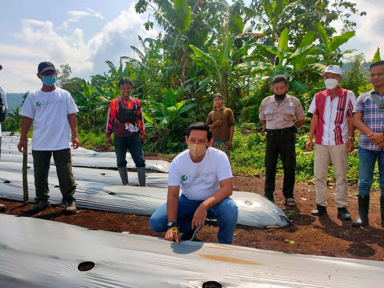 Penanaman perdana 1.700 bibit cabai rawit merah dan cabai keriting merah oleh PT Eden Pangan Indonesia dan PT Bogorindo Cemerlang. 