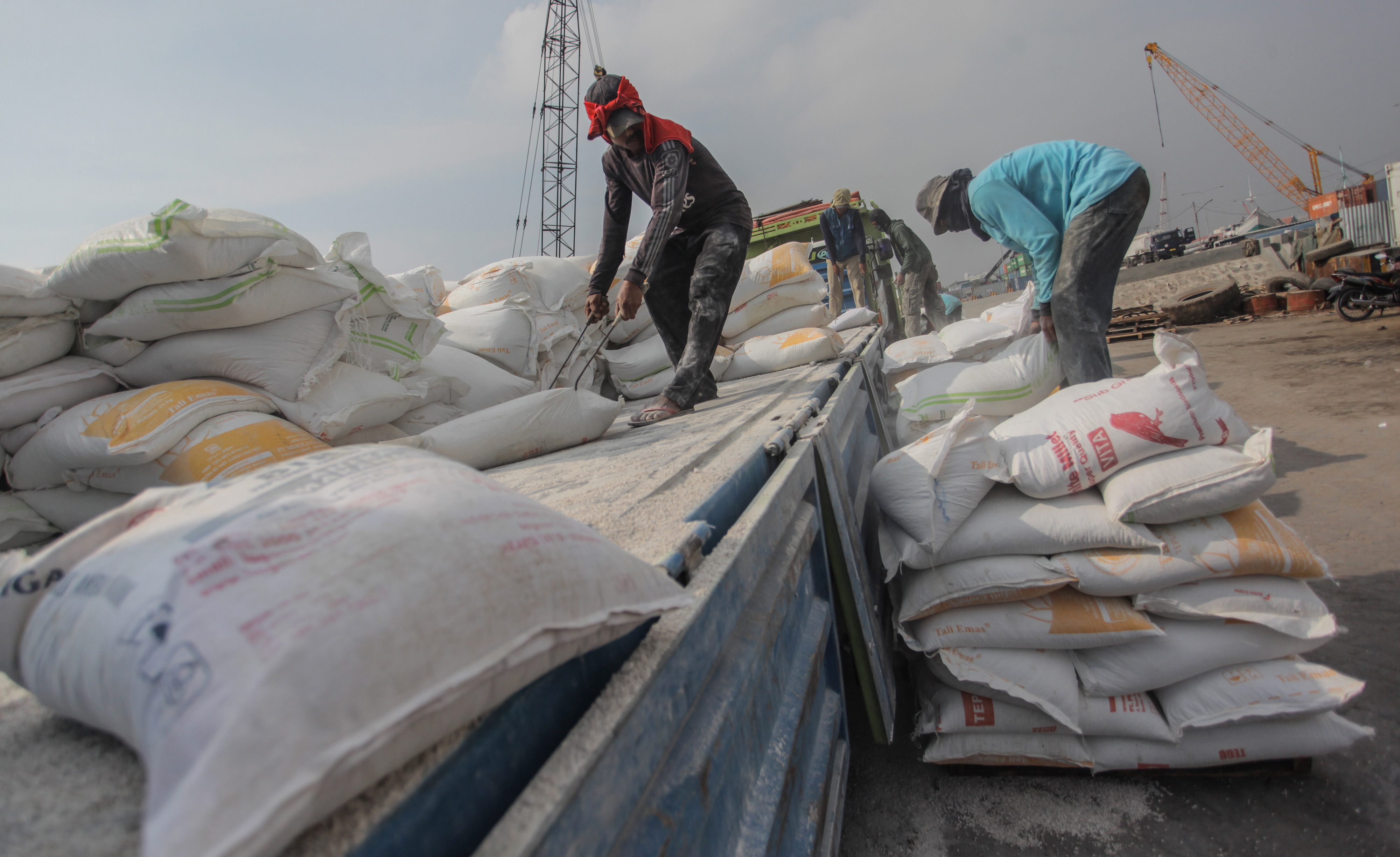 Pekerja mengangkut kaung berisi tepung terigu gandum