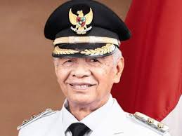 Wakil Bupati Dharmasraya Dasril Panin Datuak Labuan