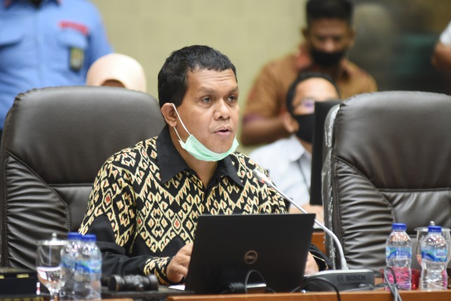 Wakil Ketua Komisi IX DPR RI Emanuel Melkiades Laka Lena. 