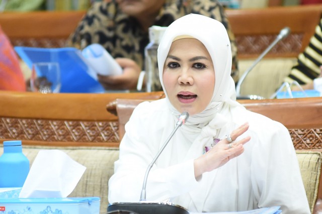 Anggota Komisi VI DPR RI Intan Fauzi.