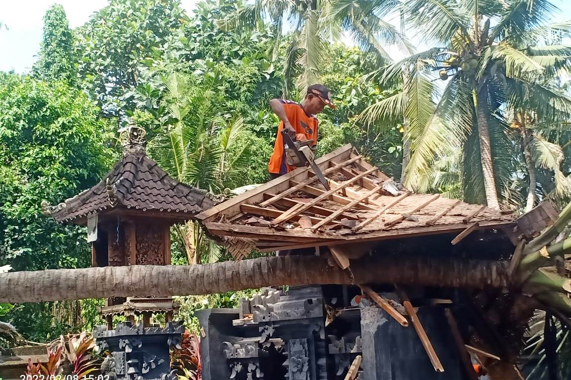 Salah satu atap yang roboh akibat ditimpa pohon yang ditumbangkan angin kencang.