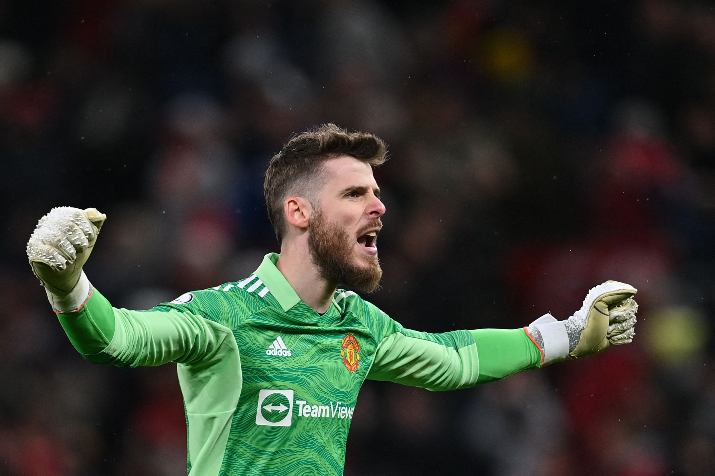 Kiper Manchester United David de Gea