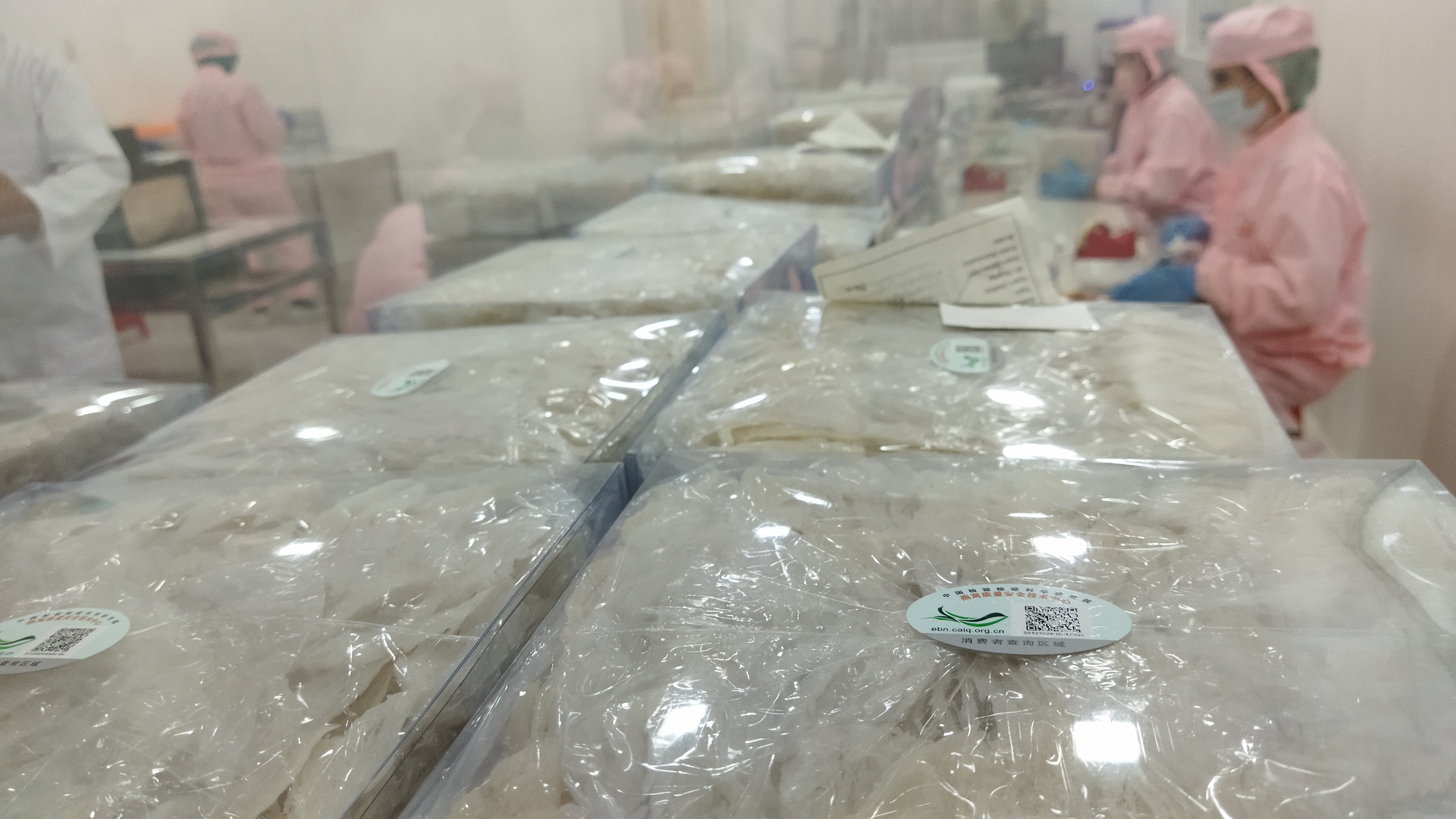 Proses pengemasan sarang burung walet yang akan diekspor