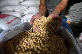 Pekerja menunjukkan kedelai impor di kawasan Mampang, Jakarta Selatan, Rabu (9/5).  