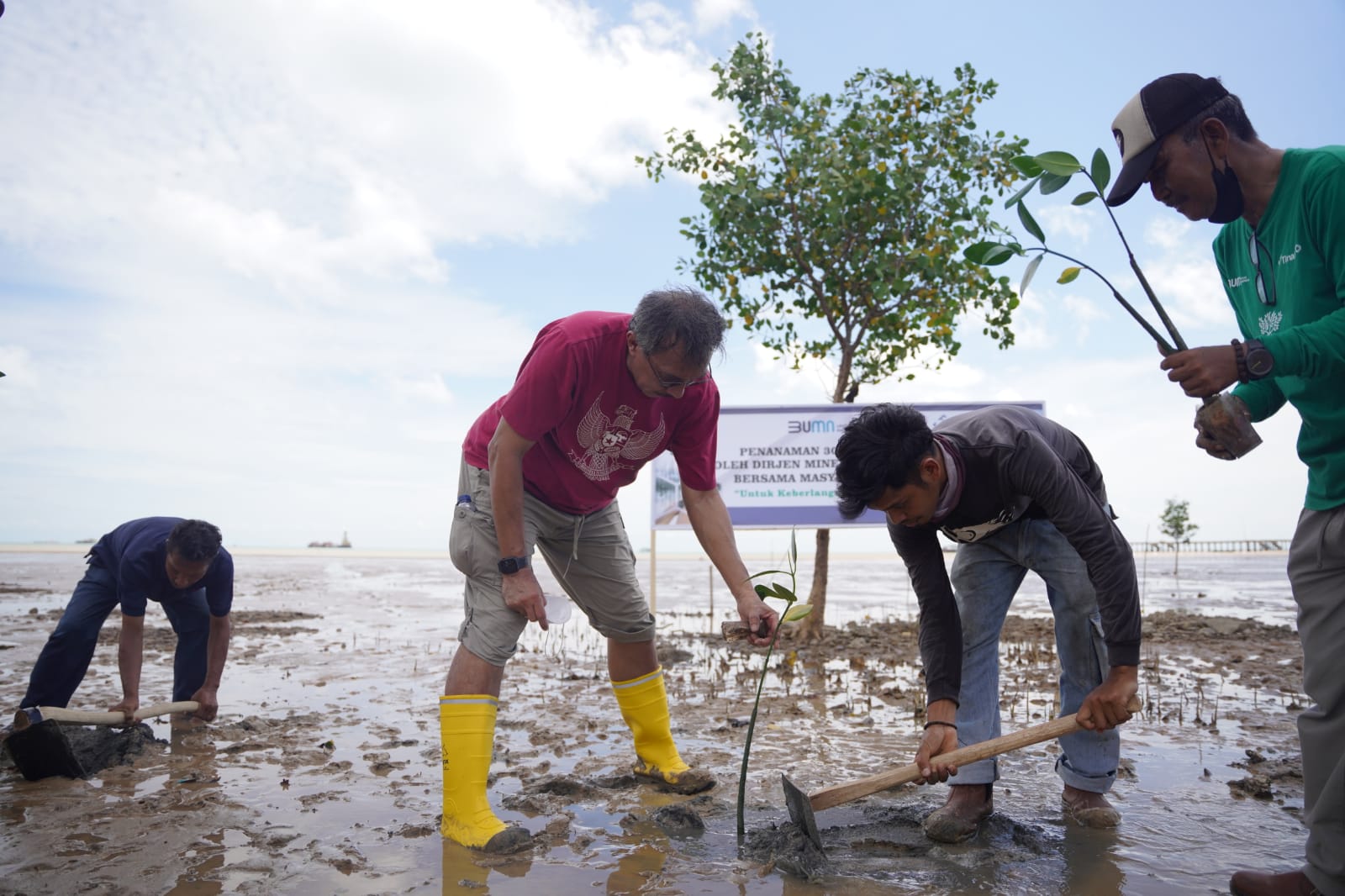 Penanaman sebanyak 3.000 batang Mangrove bersama PT Timah Tbk di Kawasan Pesisir Pantai Teluk Rubiah, Kelurahan Tanjung, Kabupaten Bangka Ba