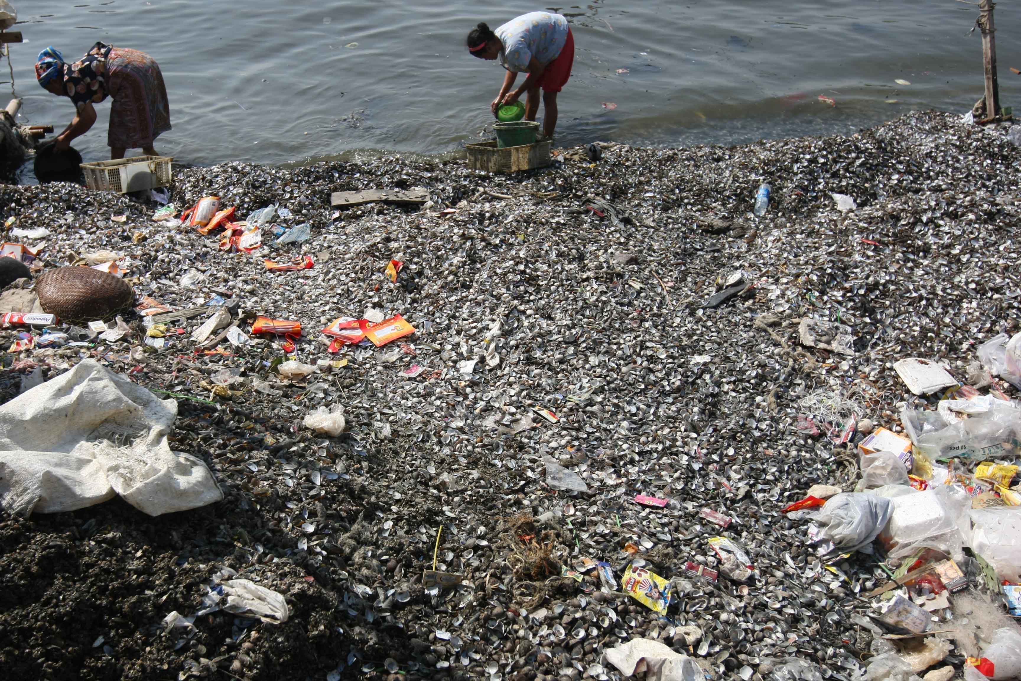 Limbah kerang di Kampung Nelayan Kalibaru