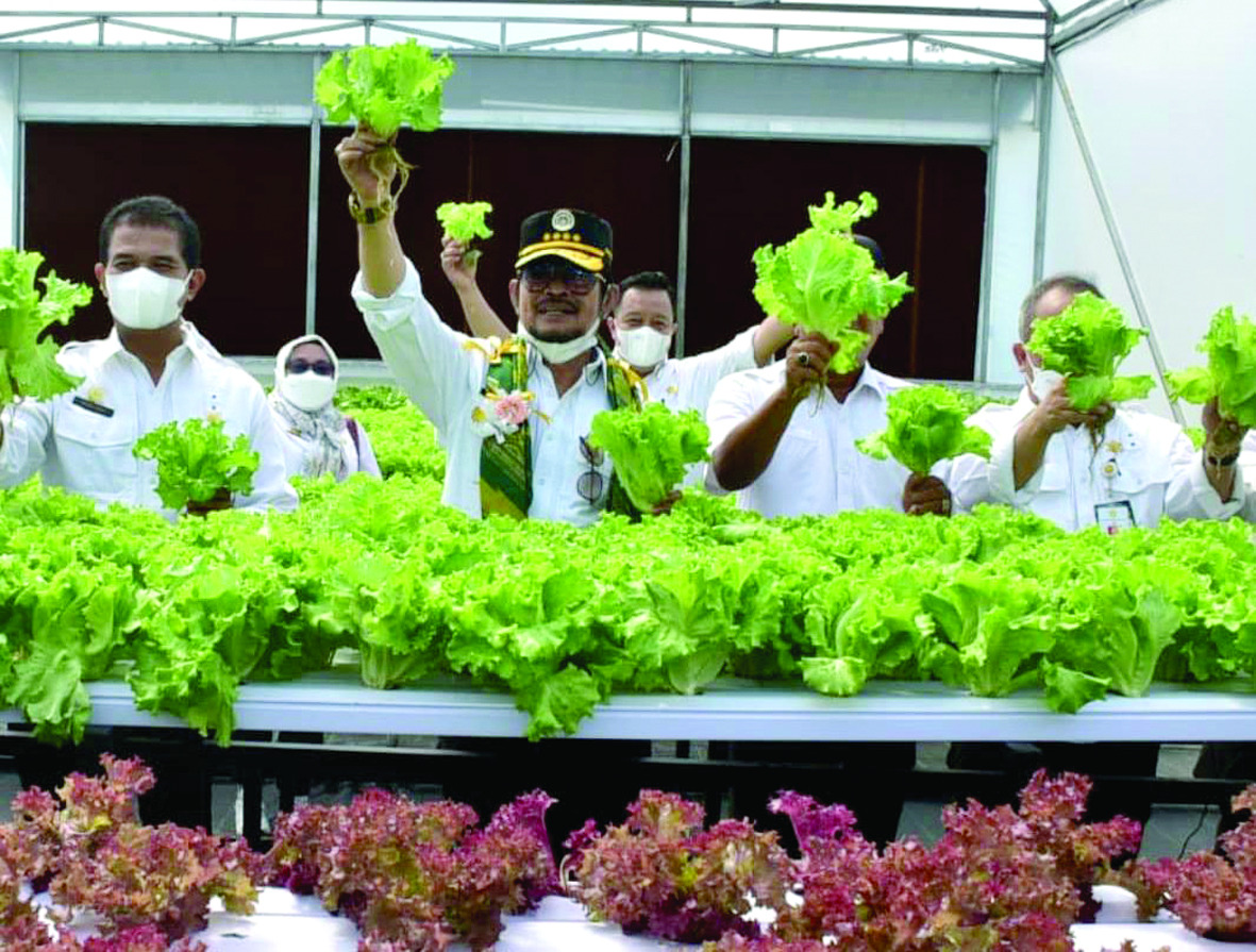 Mentan SYL (tengah).